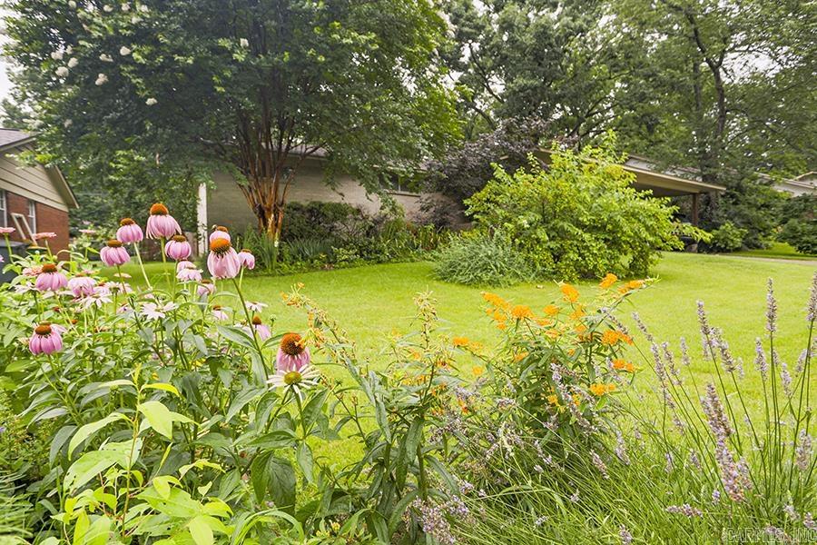 LINDENWOOD - Residential