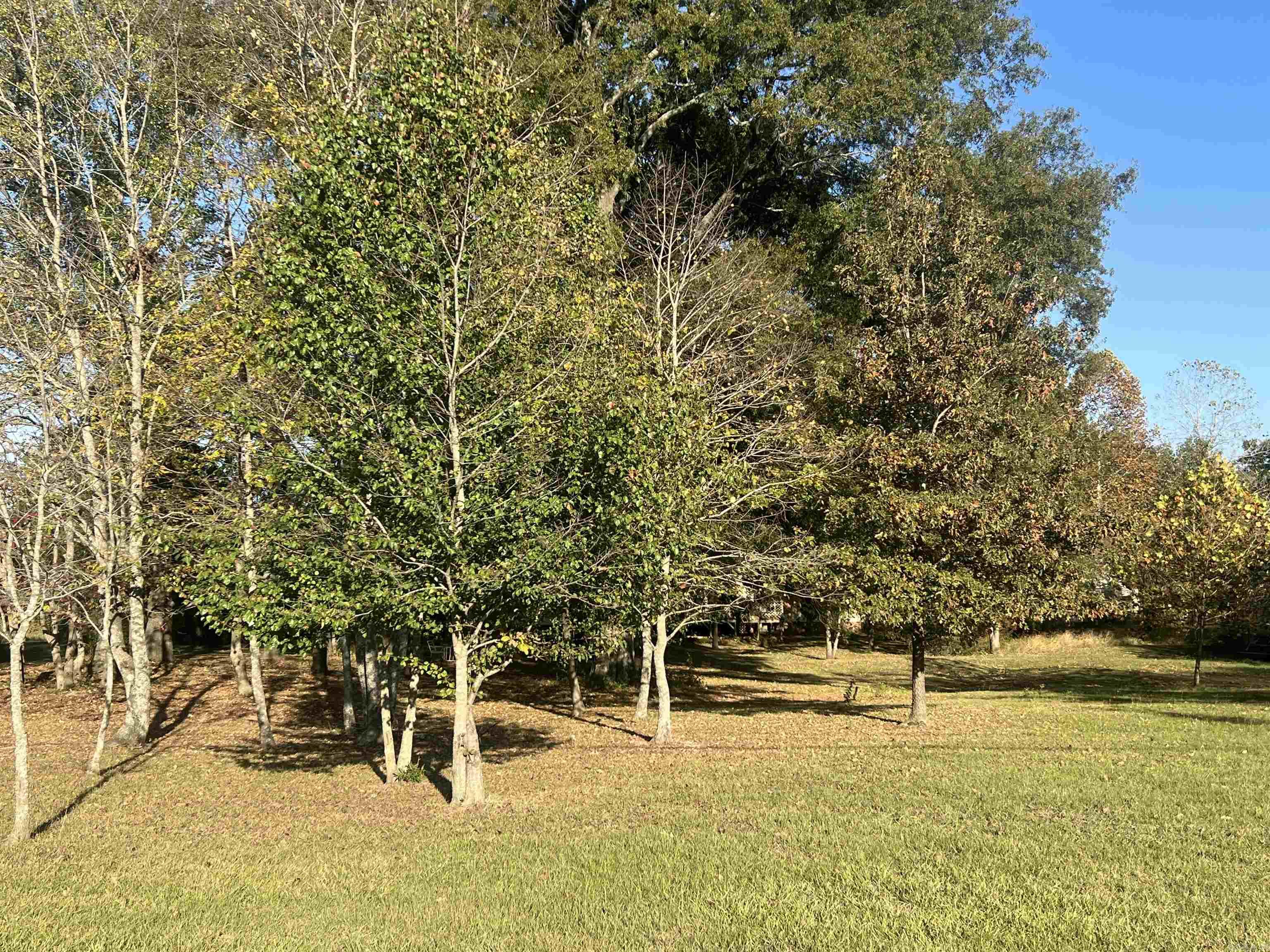 Heather Farm Survey - Land