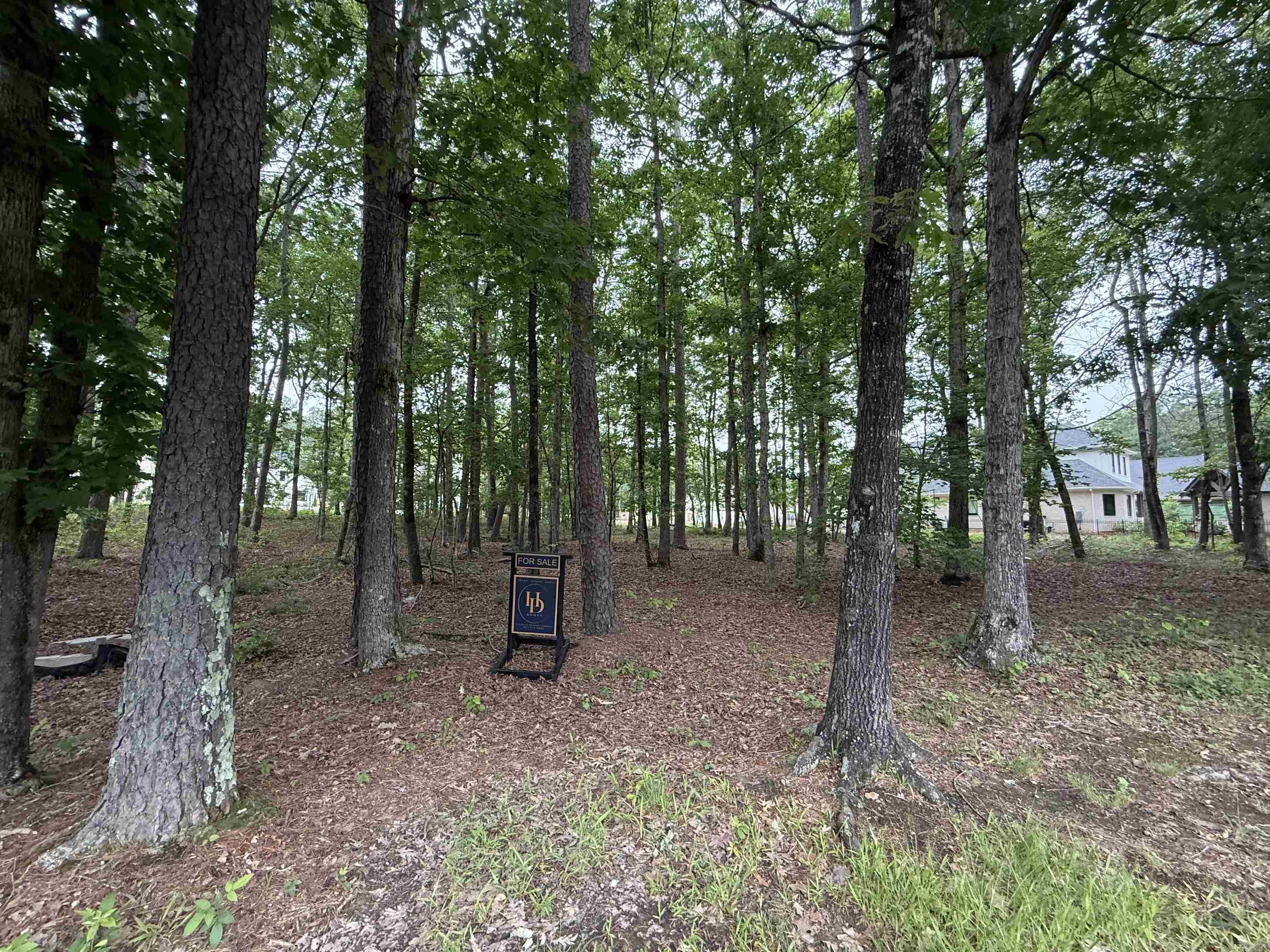 CHENAL VALLEY "MIRAMONT CIRCLE" - Land