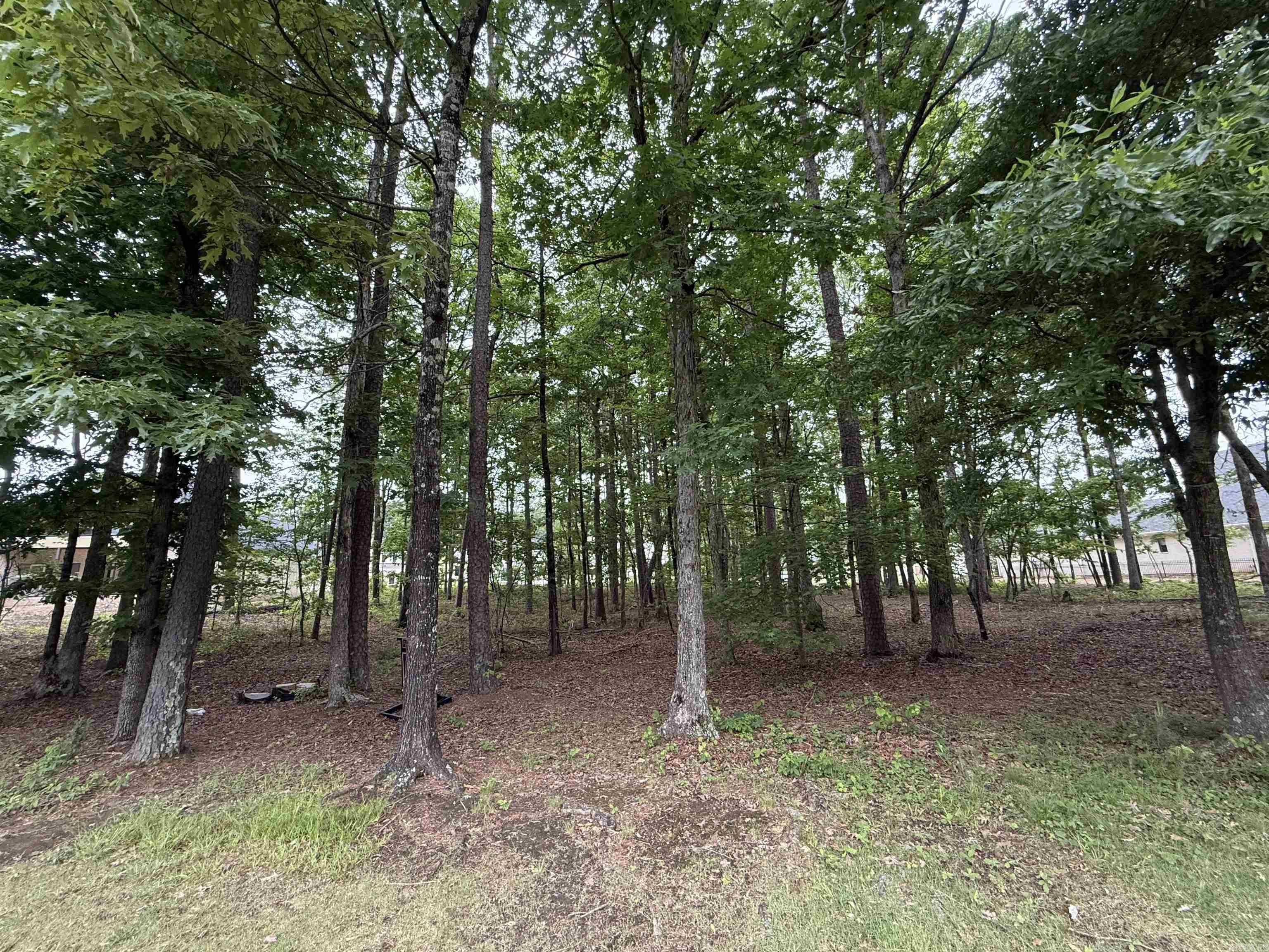 CHENAL VALLEY "MIRAMONT CIRCLE" - Land