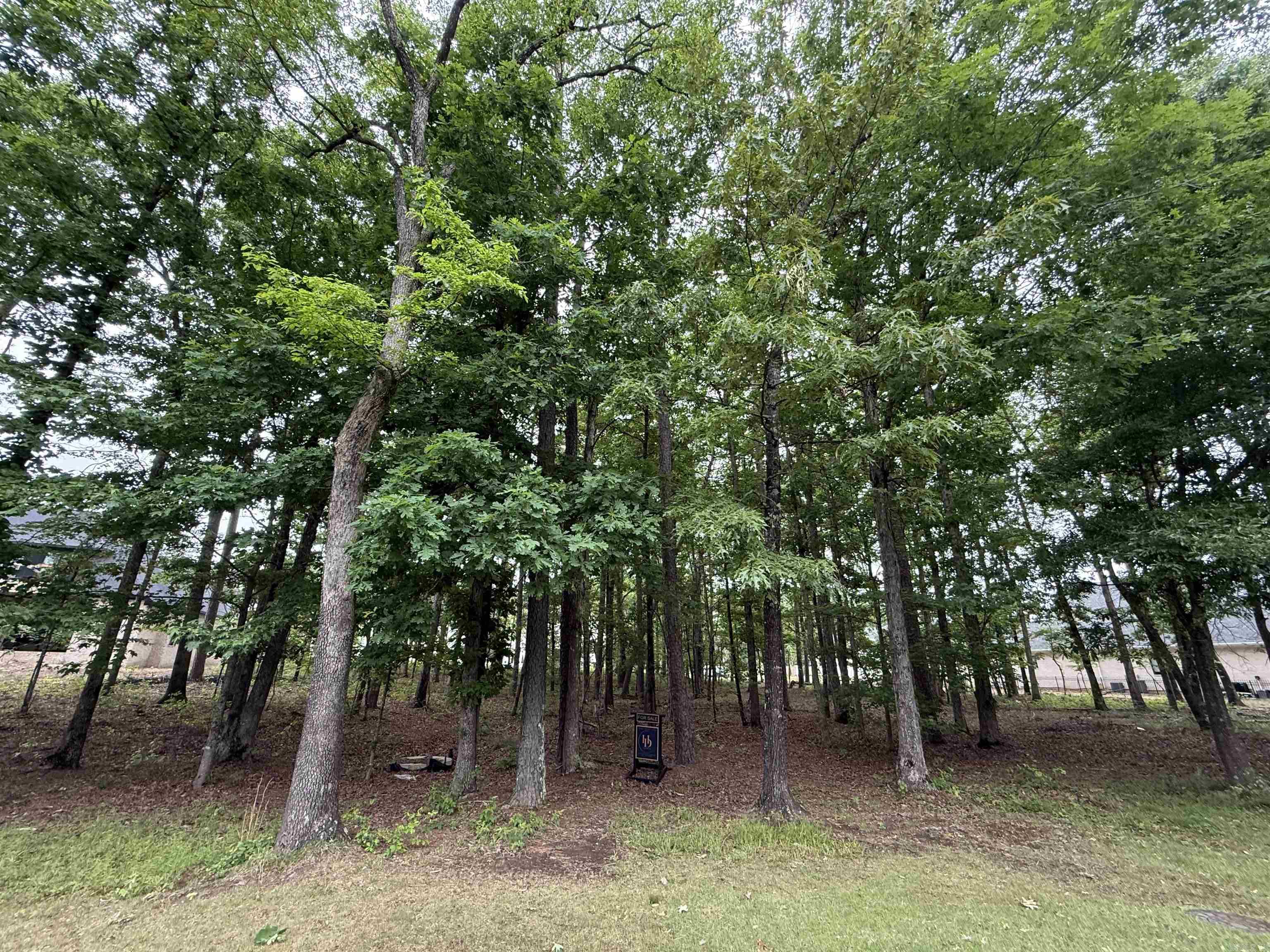 CHENAL VALLEY "MIRAMONT CIRCLE" - Land