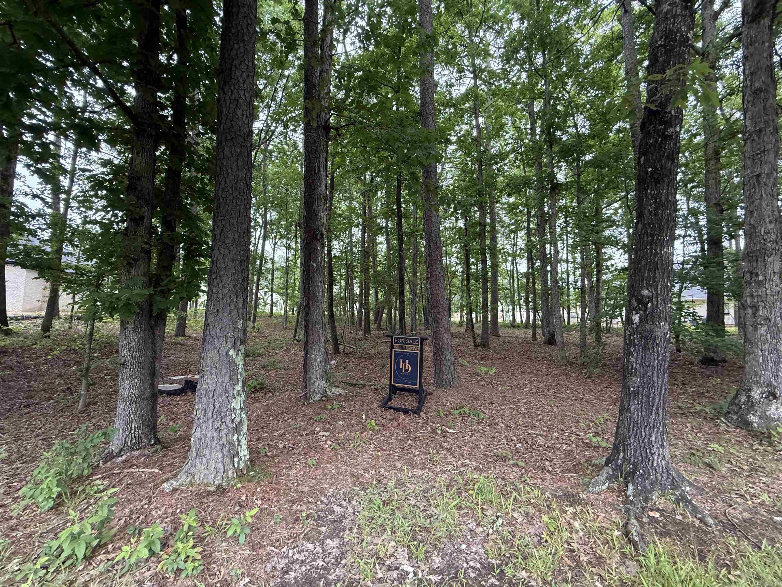 CHENAL VALLEY "MIRAMONT CIRCLE" - Land