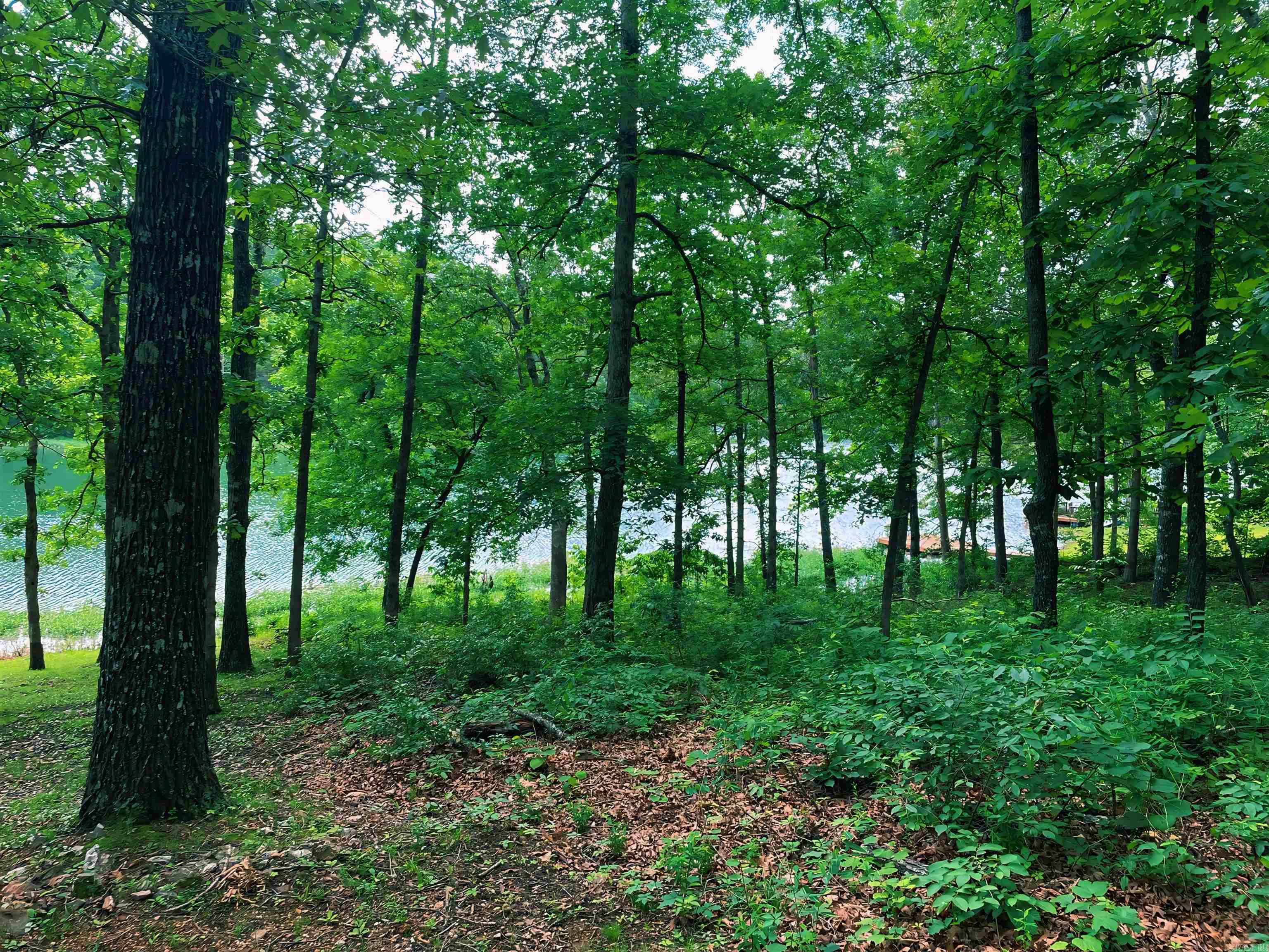 Navajo Second - Land