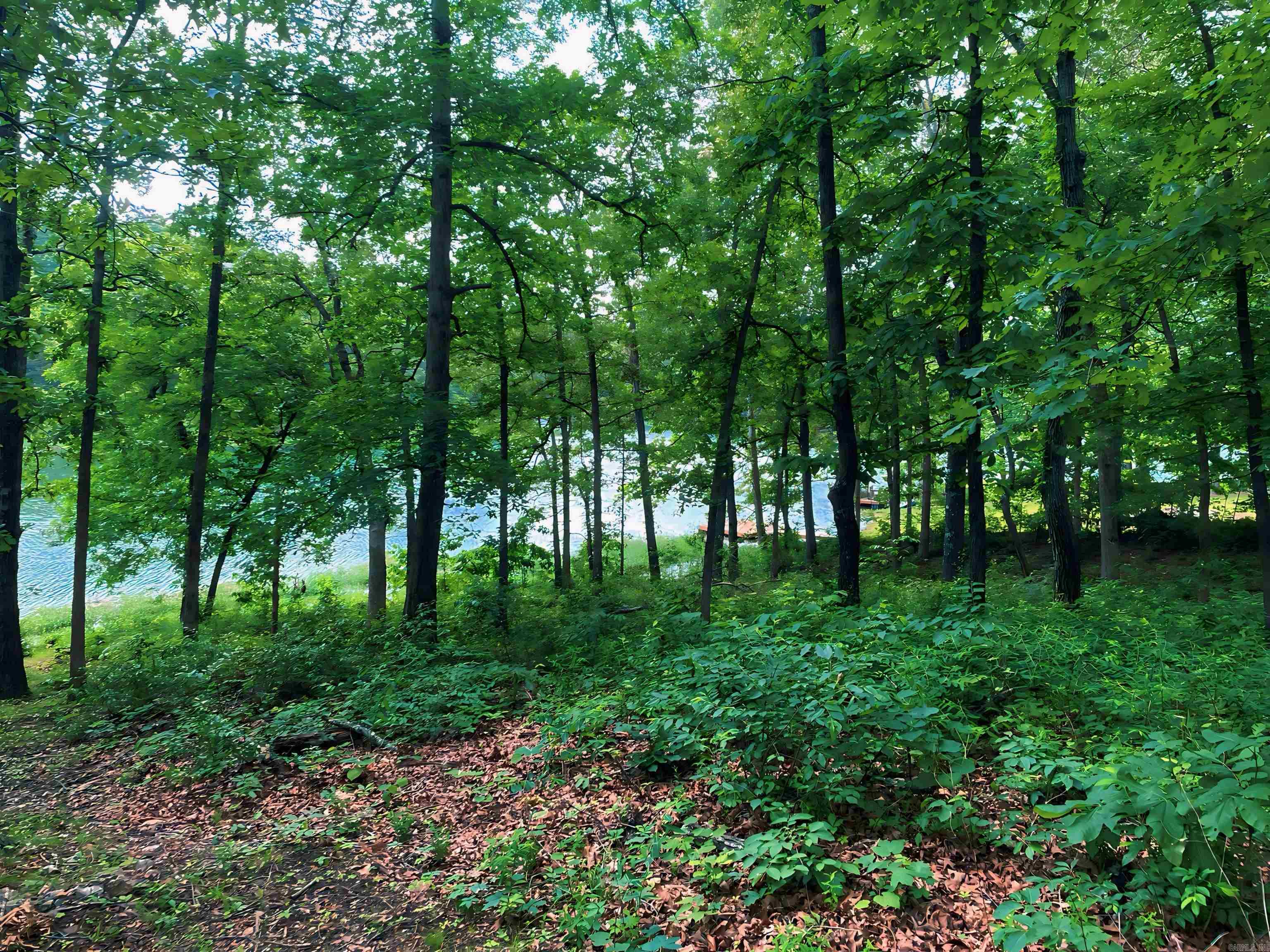 Navajo Second - Land