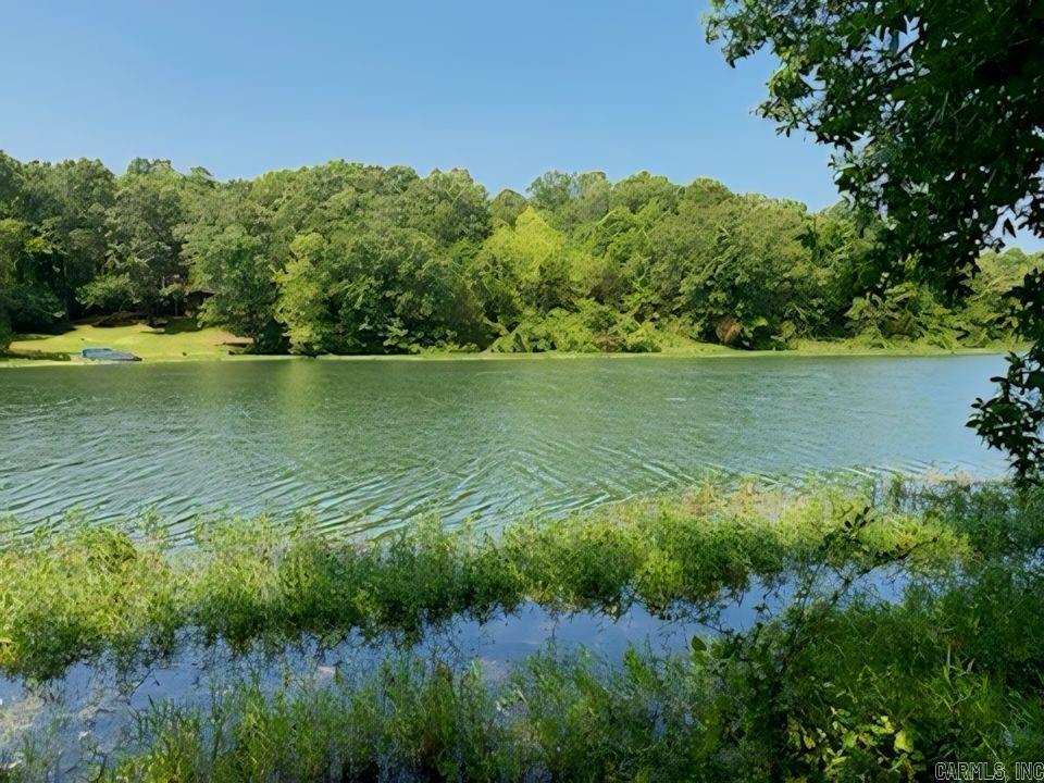 Rare to find! Beautiful side by side lots sitting on the bank of Lake Navajo in Cherokee Village! Total of 0.82 acre with 143 feet of lake frontage for you to build your water front dream home or vacation home. Enjoy all-season lake views and fishing from your backyard! Lots have a slightly slope down, conducive to construction, with plenty of space for privacy. The Cherokee Village community has access to 7 lakes, two 18-hole golf courses and the gorgeous South Fork river; These lots are minutes away from the Navajo Lake park fishing dock, and boat ramp, as well as the Golf, Tennis and Fitness Center. Home owners have the benefit of using all the neighborhood facilities at discounted rates. Price is for one lot, can be sold together at $40k.