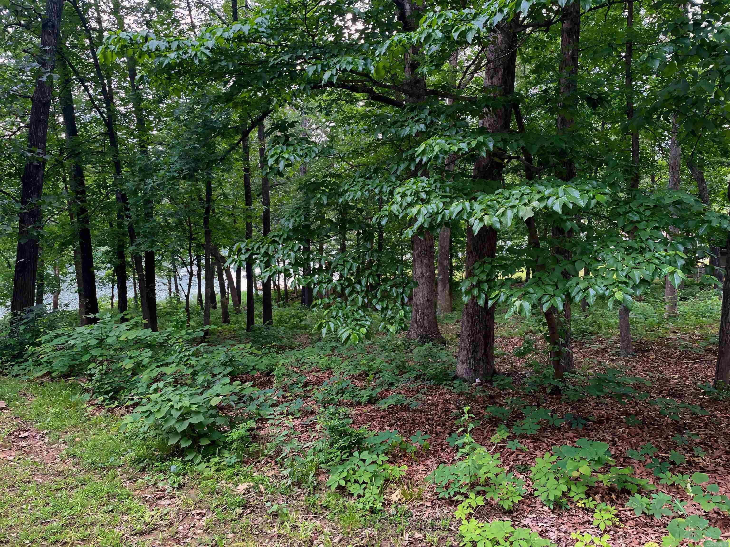 Navajo Second - Land