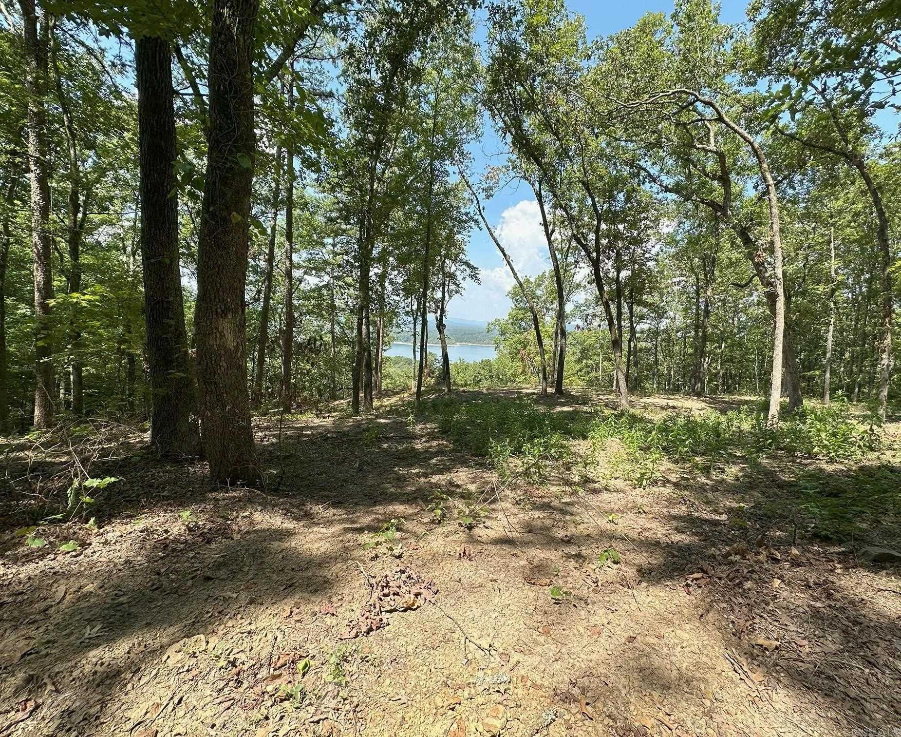 3.28-acre lake-view homesite overlooking sparkling Greers Ferry Lake—just minutes to Hwy 65 and a short drive to Clinton, Arkansas. This serene, partially cleared parcel offers a beautiful setting for your dream home or weekend retreat, with room for a shop, garden, and privacy among the Ozark foothills. A septic perc test is on file, giving you a head start on building plans. Enjoy quick access to boating, fishing, swimming, and nearby marinas, plus the everyday conveniences of Clinton. Highlights: 3.28 acres with elevated views of Greers Ferry Lake Minutes to Hwy 65; close to Clinton, AR Partially cleared with flexible build-site options Septic perc test on file Peaceful setting with easy access to lake recreation and town amenities Bring your plans and make this lake-view acreage your own. Gated entrance code required.
