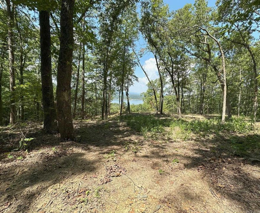 3.28-acre lake-view homesite overlooking sparkling Greers Ferry Lake—just minutes to Hwy 65 and a short drive to Clinton, Arkansas. This serene, partially cleared parcel offers a beautiful setting for your dream home or weekend retreat, with room for a shop, garden, and privacy among the Ozark foothills. A septic perc test is on file, giving you a head start on building plans. Enjoy quick access to boating, fishing, swimming, and nearby marinas, plus the everyday conveniences of Clinton.  Highlights: 3.28 acres with elevated views of Greers Ferry Lake Minutes to Hwy 65; close to Clinton, AR Partially cleared with flexible build-site options Septic perc test on file Peaceful setting with easy access to lake recreation and town amenities Bring your plans and make this lake-view acreage your own.  Gated entrance code required.