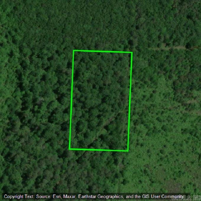 This affordable hunting land situated near Highway 29 in Bradley offers the perfect blend of seclusion & opportunity. No road in means no drive-by traffic, no interruptions – just you, the trees, & the wildlife that call it home. Thick woods provide natural cover for deer & other game, & the quiet surroundings make it an ideal spot for a stand or a simple campsite. Whether you’re looking for a place to slip away on the weekends, set up a small hunting camp, or just own your own little piece of Arkansas woods, this tract checks all the boxes.