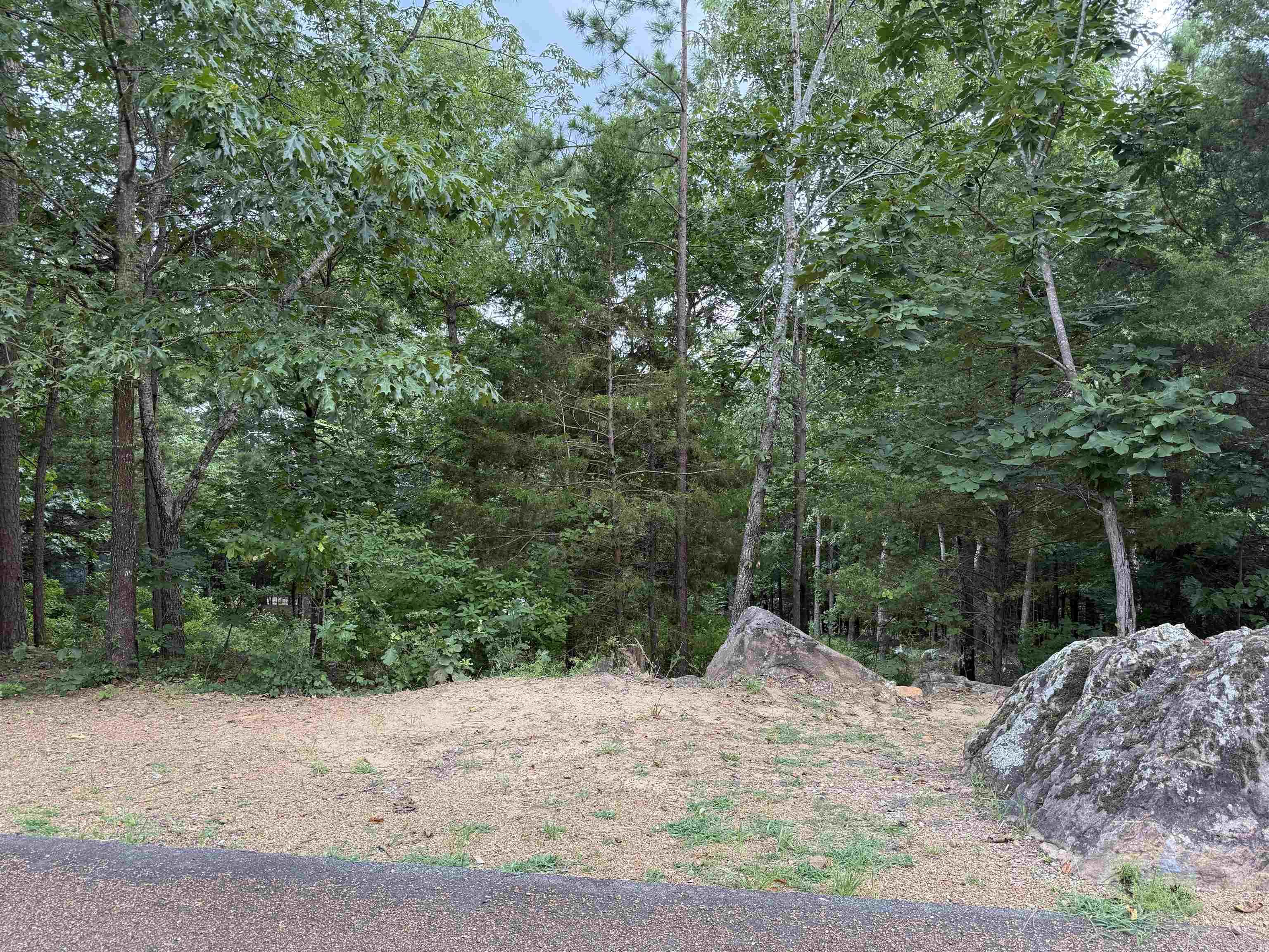 Half-Acre Lot on Eden Isle ā Great Location with Winter Lake View Build your dream home on this beautiful half-acre lot in the desirable Eden Isle community. Gently sloped with a seasonal lake view, this replatted lot combines two parcels into one ideal homesite. Enjoy privacy, natural beauty, and close proximity to Greers Ferry Lake, marinas, and local amenities.