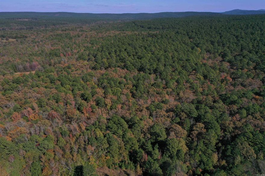 Located in the mountains in Nella, Arkansas, this 14 +/- acres tract is packed with features. Deer and turkey frequent the area along with other small game. Mature pine trees and a great abundance of oak are packed on this property. The national forest boundary on 2 sides and an open path surrounding the property makes it easy to walk the property line. It has a partial fence on the south side and north side to easily finish the east line.  With access to hundreds of thousands of acres of national forest, this property is remote and off the beaten path. Quiet and surrounded by nature, this tract is also only 40 minutes from Mena and only 30 minutes from Waldron. You have Hinkle Lake just 25 miles away with camping and fishing, and Irons Fork Public Lake in Mena, just 15 miles south, to fish. This property is in a great location to get out of the rat race. Call today for your personal tour.