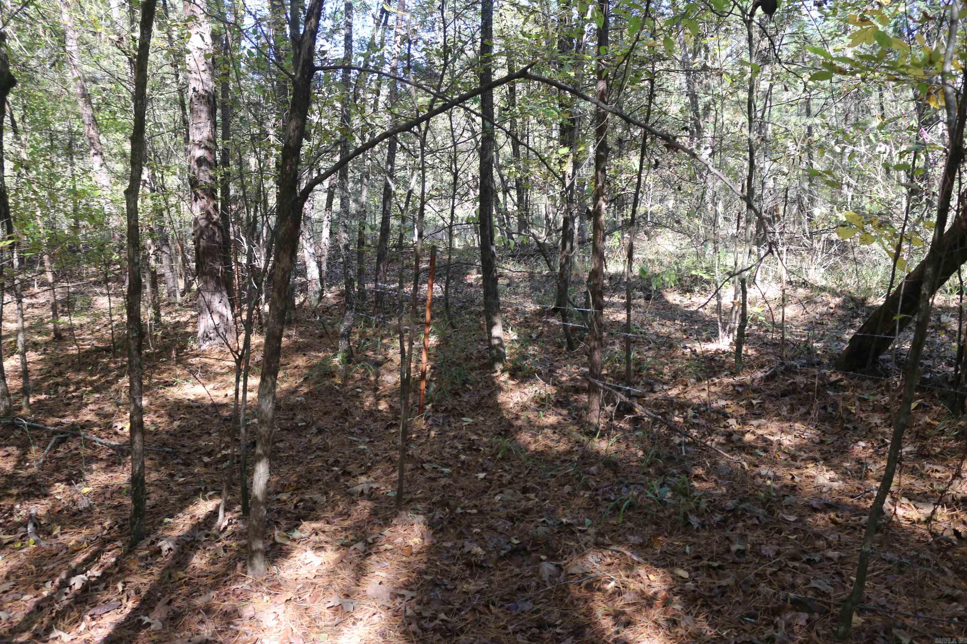 Metes & Bounds - Land