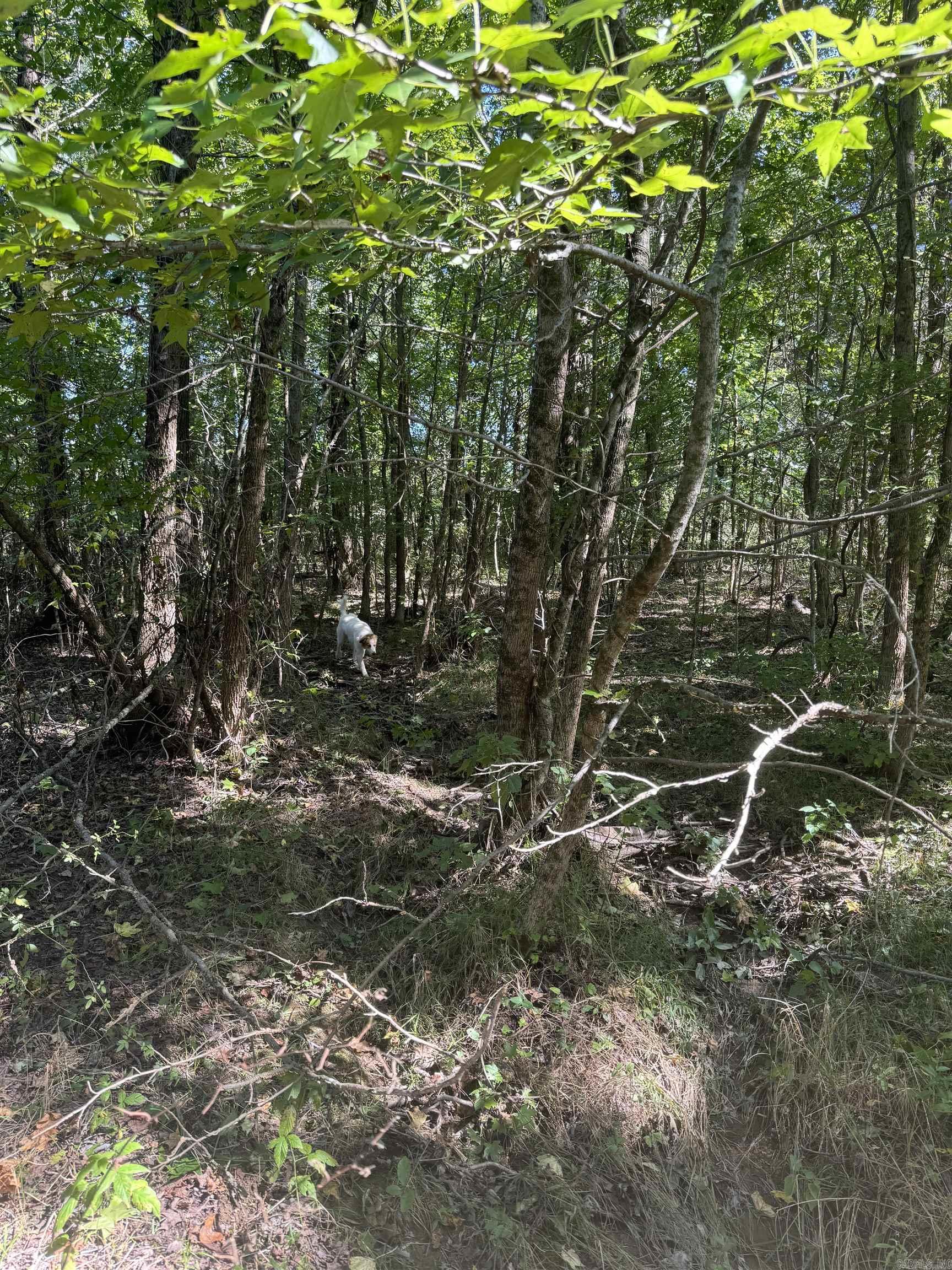 Kenwood 1st Replat - Land