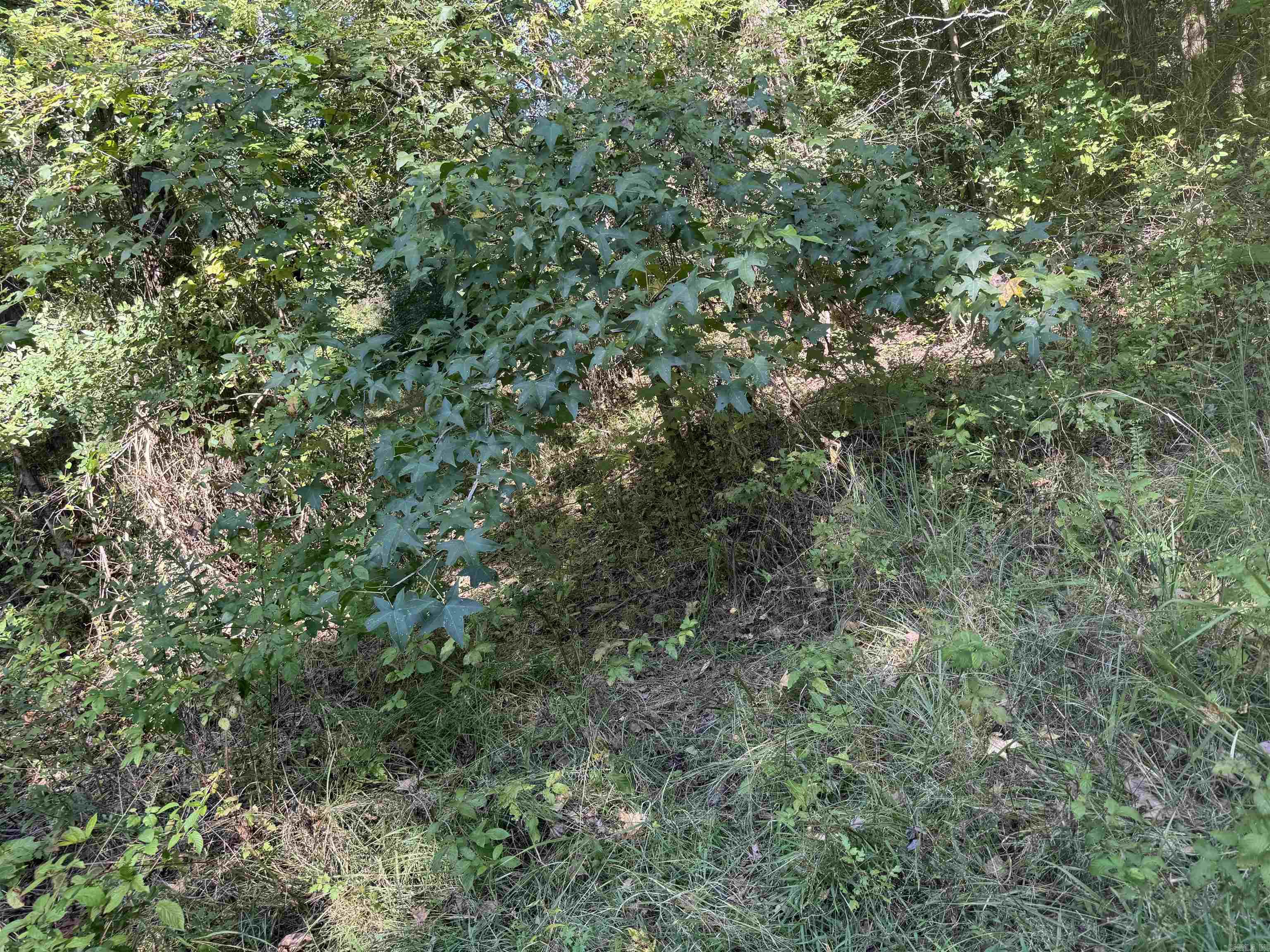 Kenwood 1st Replat - Land