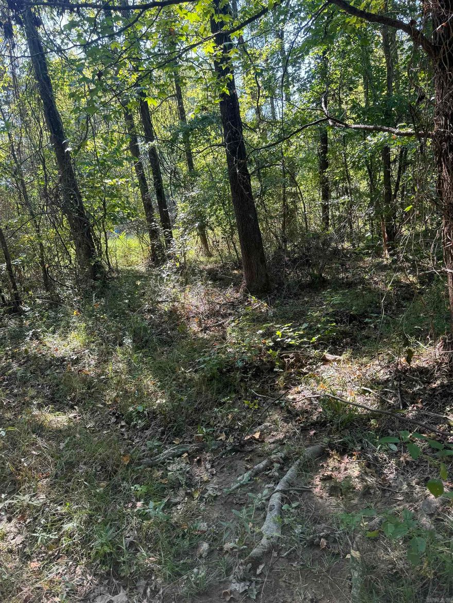 10 acres more or less, address and Legal Description per pending survey. Quiet Perfect Neighborhood to build a home with yard space to do just about anything with. The potential for this land is limitless with all the acreage being out of city limits. It is out of city limits, but still not too far out from town. You get the best of both worlds, peace and quiet with the luxury of driving a few miles to town to get whatever you may need. Only 4 miles away from Brookland Schools if you have children or are thinking of having children! Give your favorite REALTOR a call today for more information!