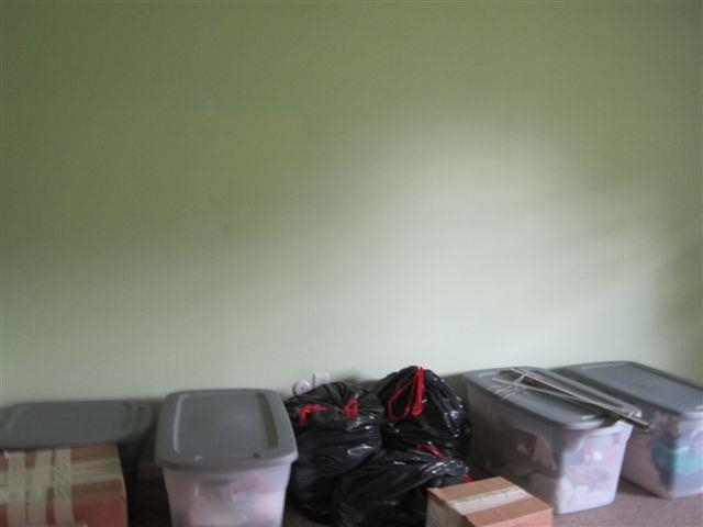 Pine Forest - Residential