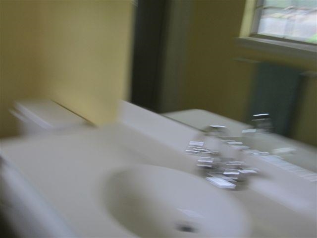 Pine Forest - Residential