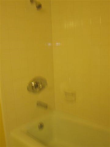 Pine Forest - Residential