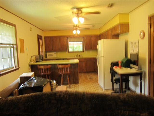 Pine Forest - Residential