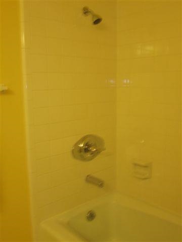 Pine Forest - Residential