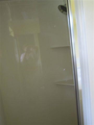 Pine Forest - Residential