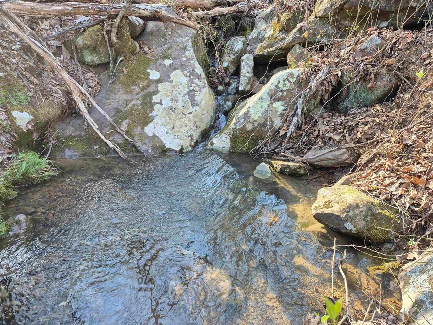 Nestled in the scenic Middle Fork Little Red River Valley, this 10-acre (+/-) wooded tract offers the perfect blend of seclusion and convenience. With electric, high-speed fiber internet, city water and a private well already on site, it is ready for your dream cabin, full-time home or recreational getaway. A seasonal stream winds through the property, attracting local wildlife and enhancing the natural beauty of the land. With just a bit of clearing, you could open up stunning views of the surrounding Ozark Mountains. Whether you are looking for a peaceful homestead or a prime hunting retreat, this property has all the essentials in place.
