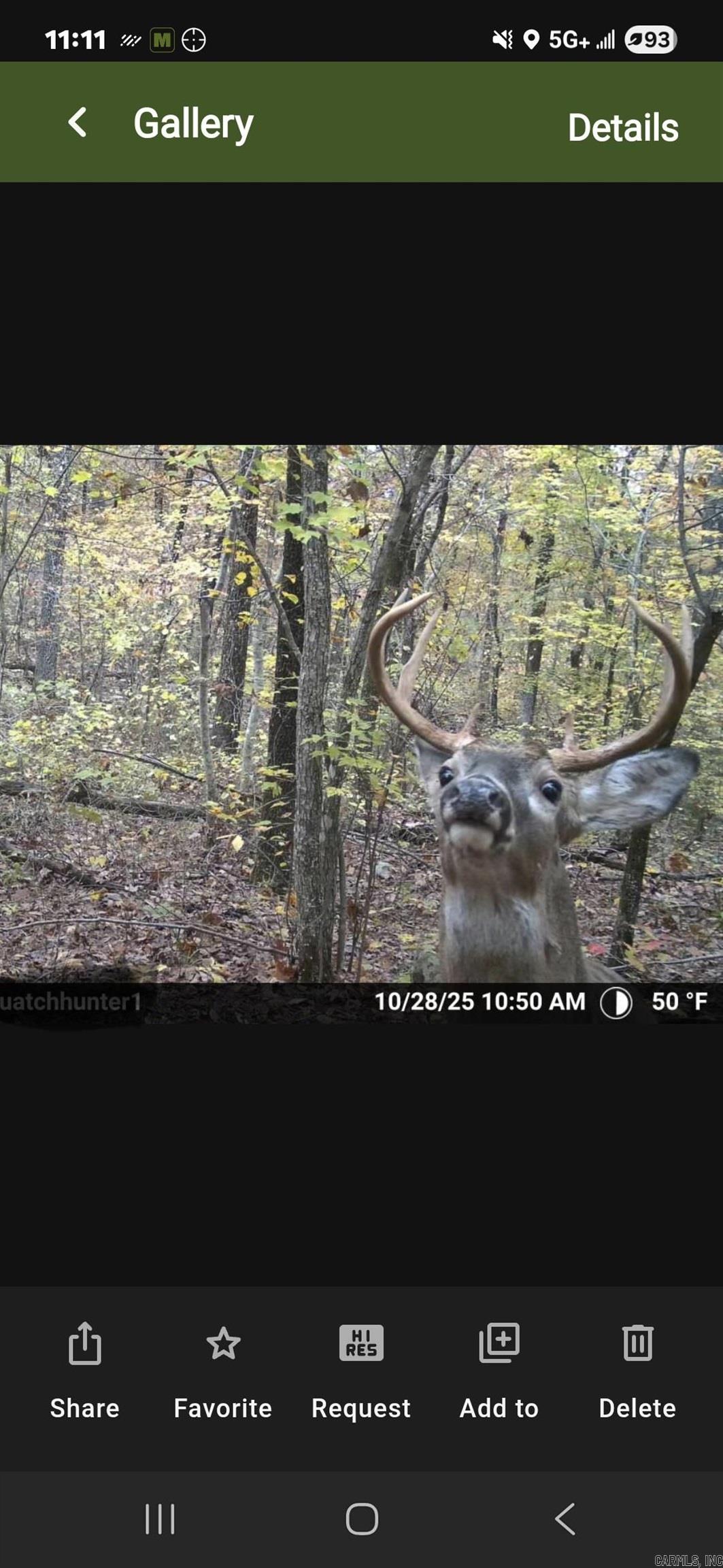 Metes & Bounds - Land