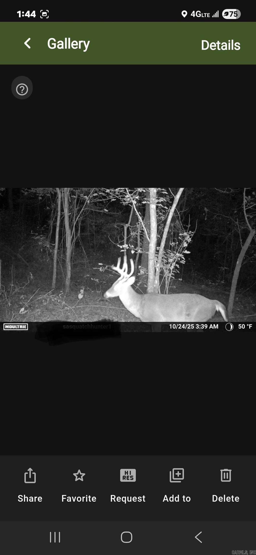 Metes & Bounds - Land