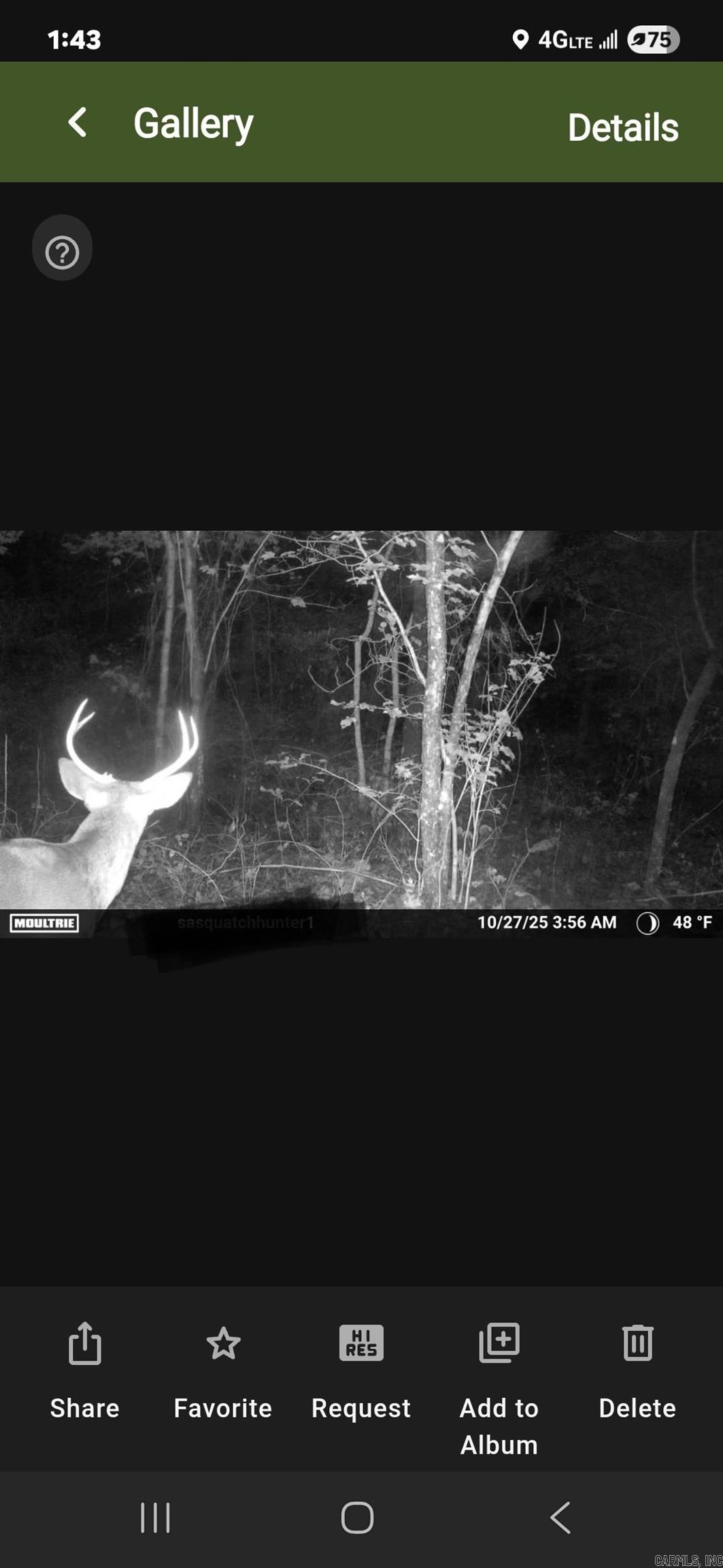 Metes & Bounds - Land