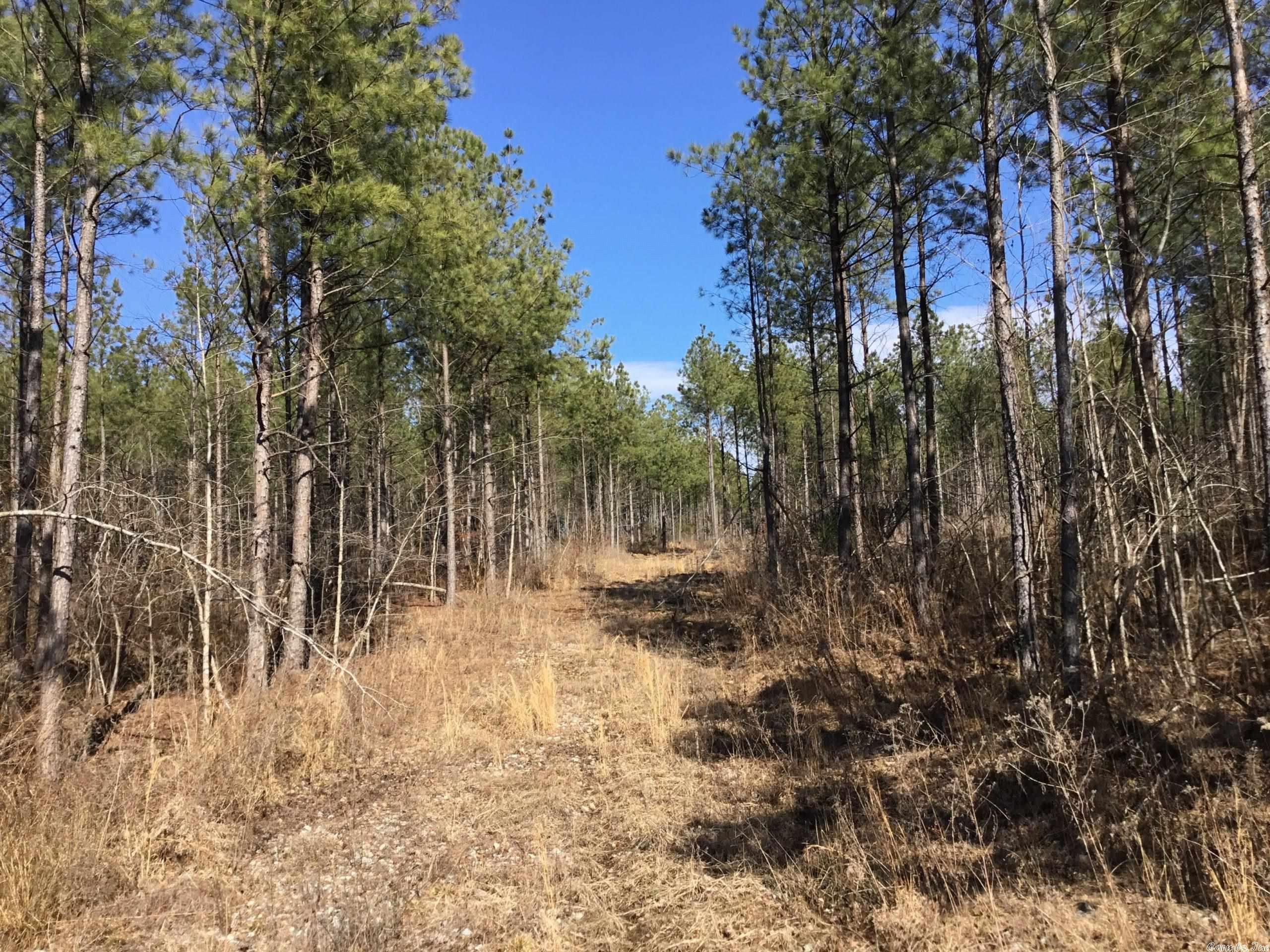 This property is located just off of Highway 10, in western Pulaski County, on Higginbotham Road. Water and power are both present, making this the perfect property to build a remote country home or hunting cabin. The subject tract is loaded in whitetail and small game sign, and access to thousands of acres of national forest land is just a short distance away. Also this property is just over 30 minutes from West Little Rock! SELLER IS RETAINING MINERAL RIGHTS.