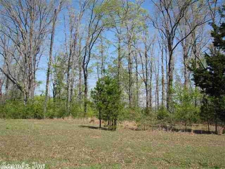 Views of the Middle Fork arm of Greers Ferry lake, deer in the yard, Ozark Mountain vistas, all your at a great price!Add lot 78 for a total of 3 acres.