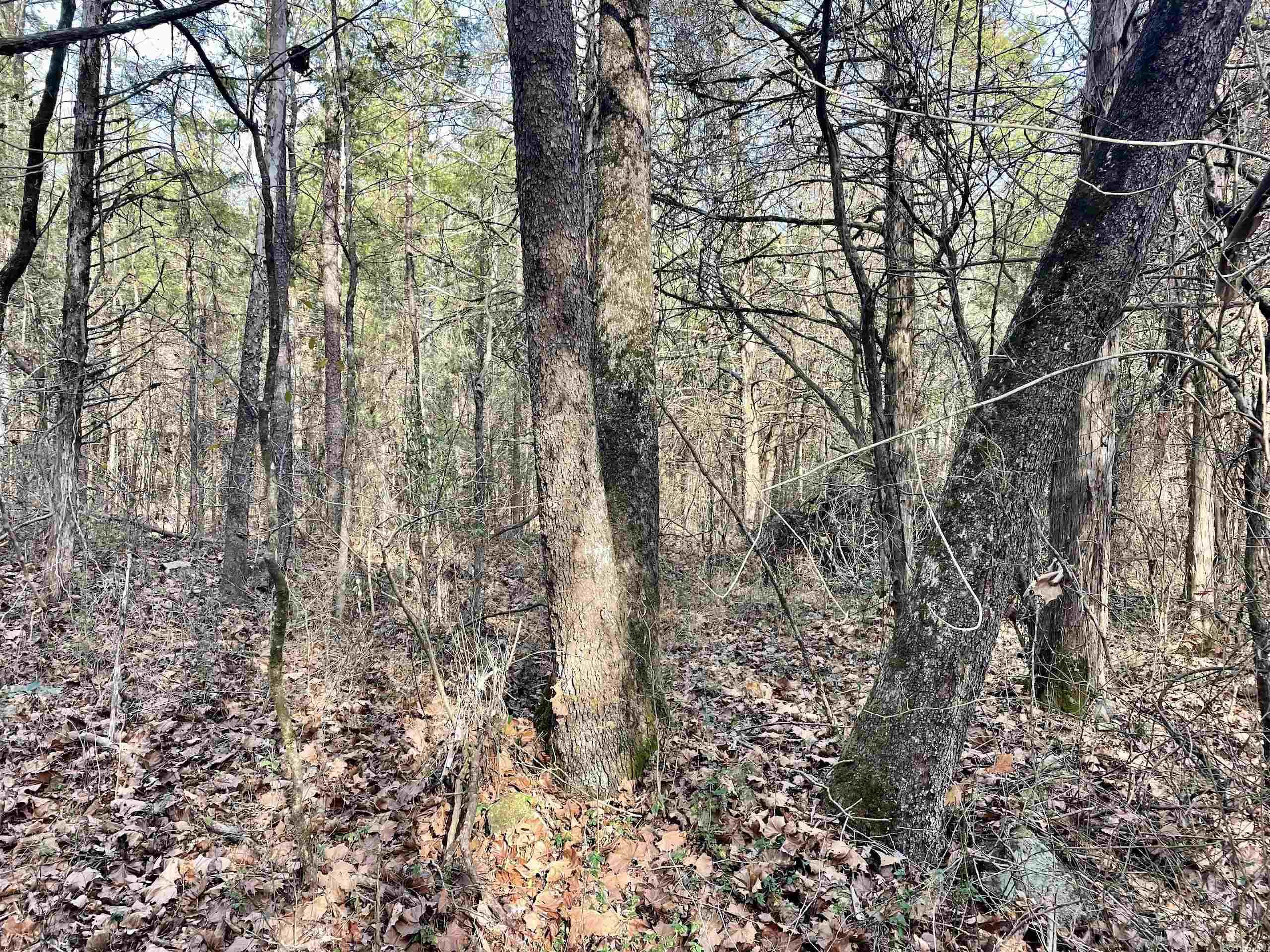 Not in Subdivision - Land