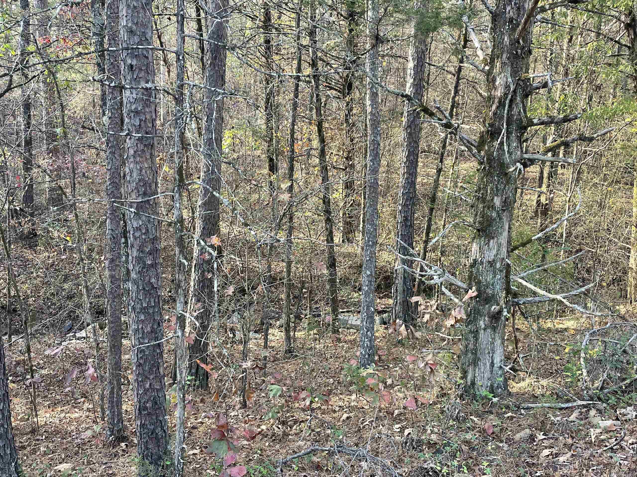 Not in Subdivision - Land