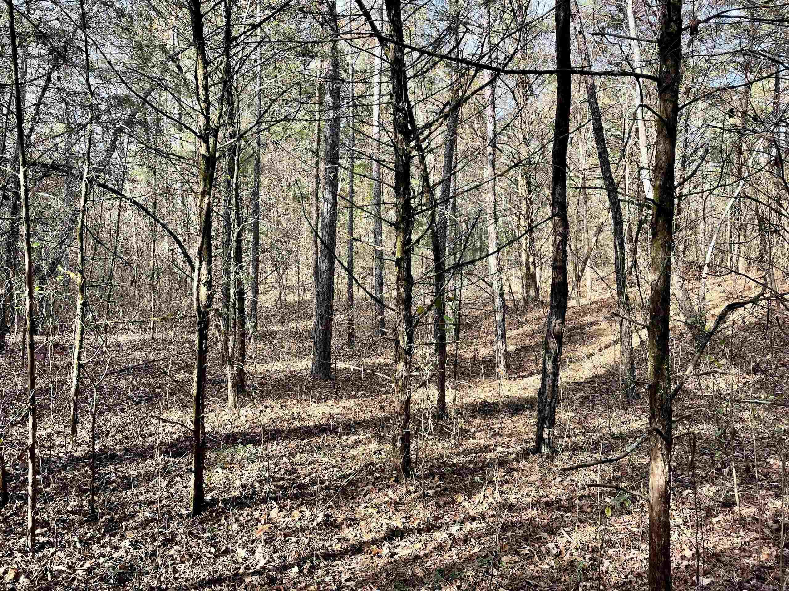 Not in Subdivision - Land