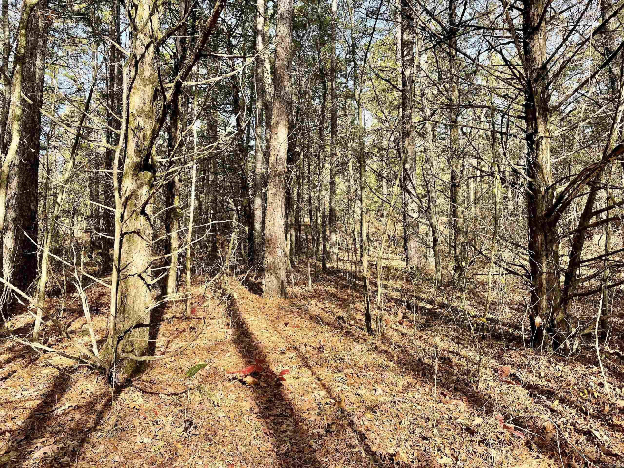 Not in Subdivision - Land