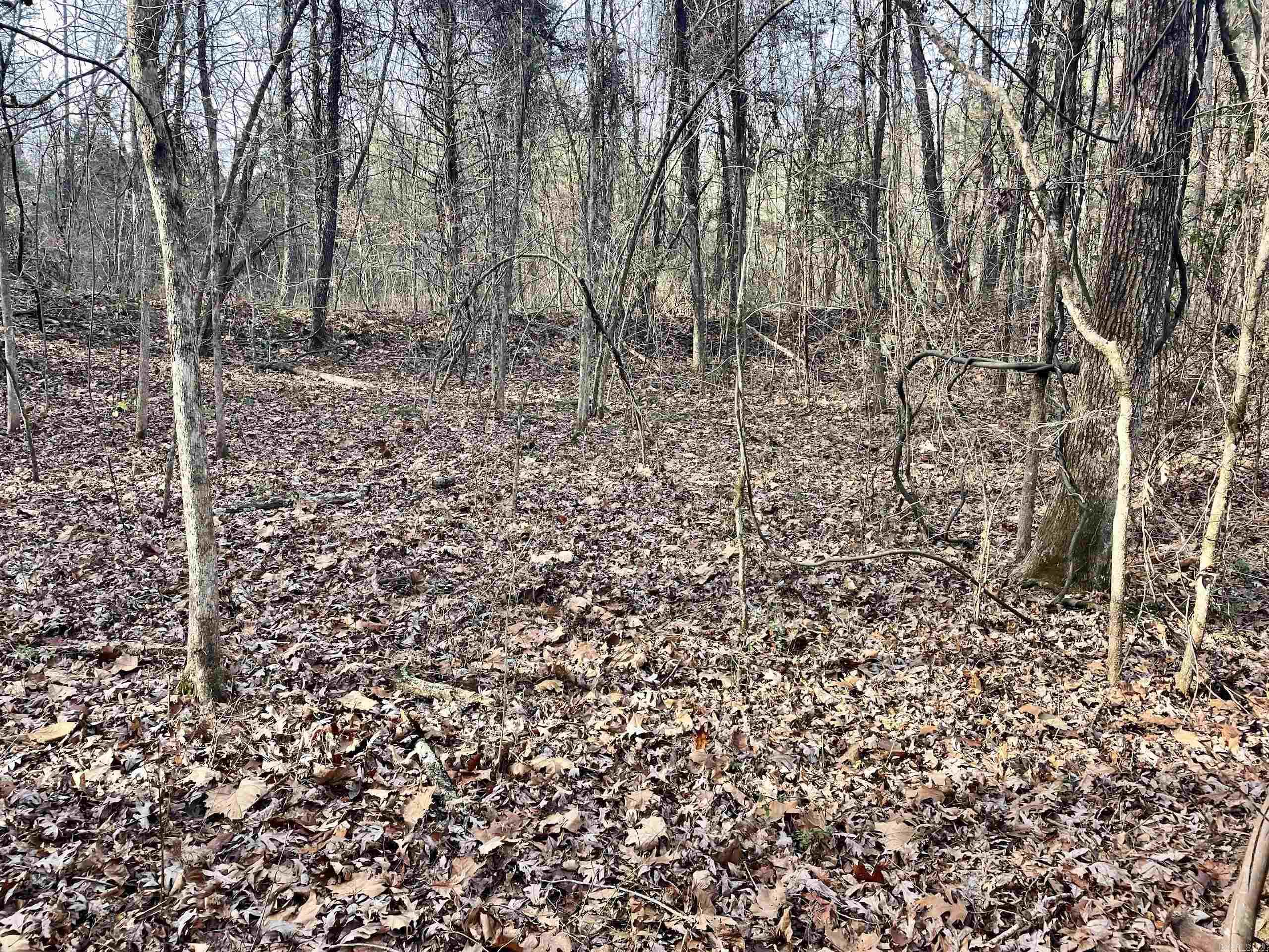 Not in Subdivision - Land