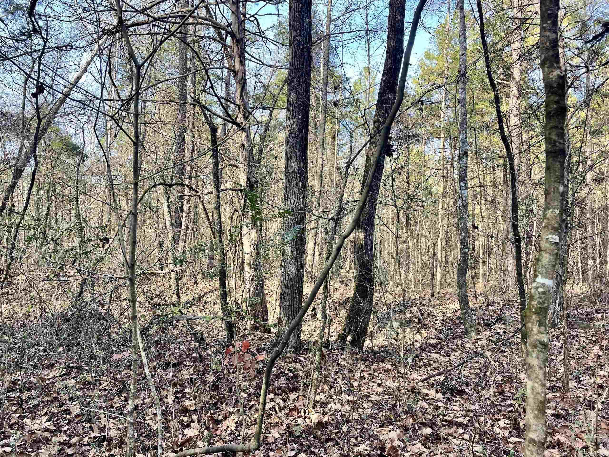 Not in Subdivision - Land