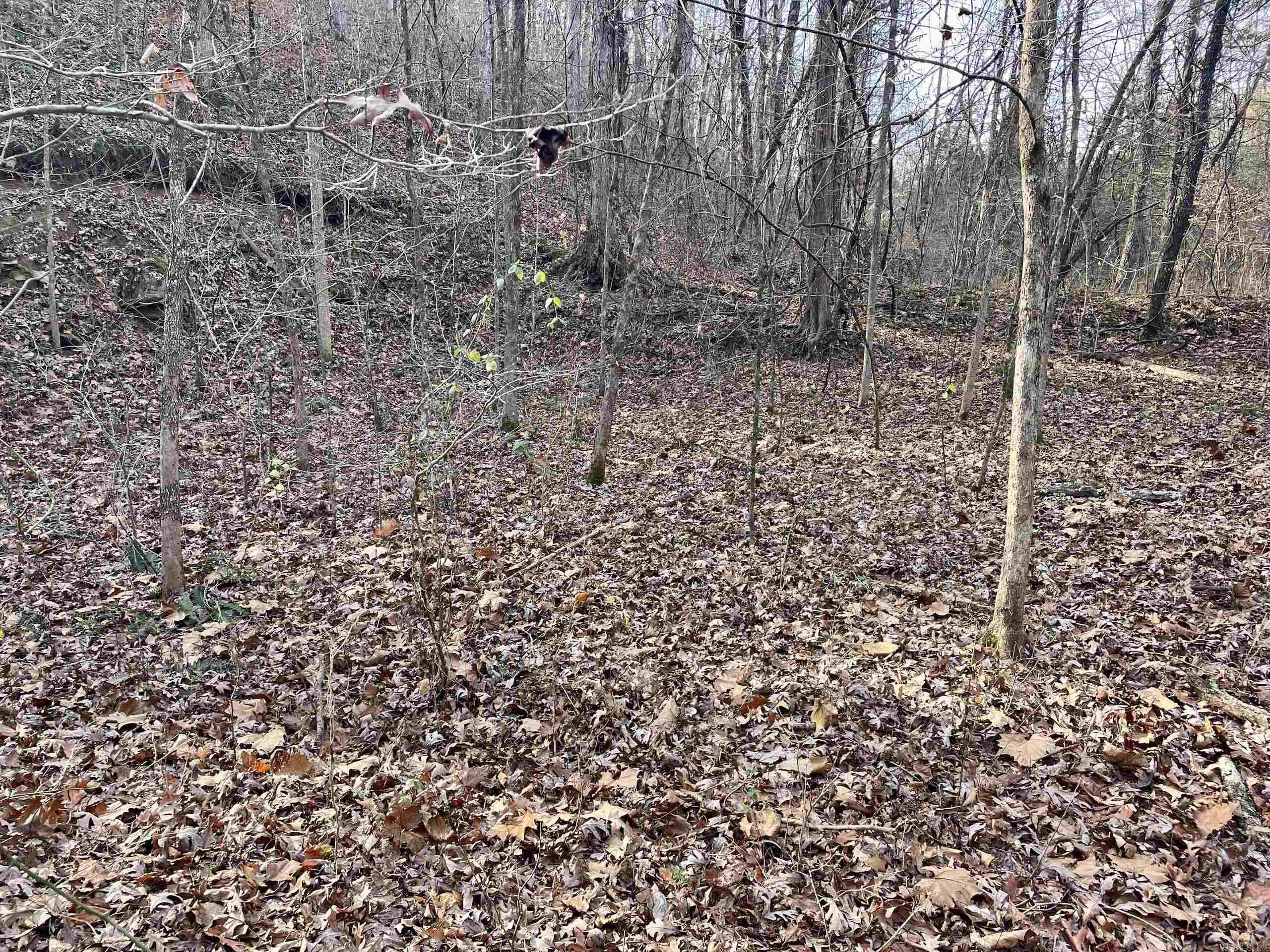 Not in Subdivision - Land