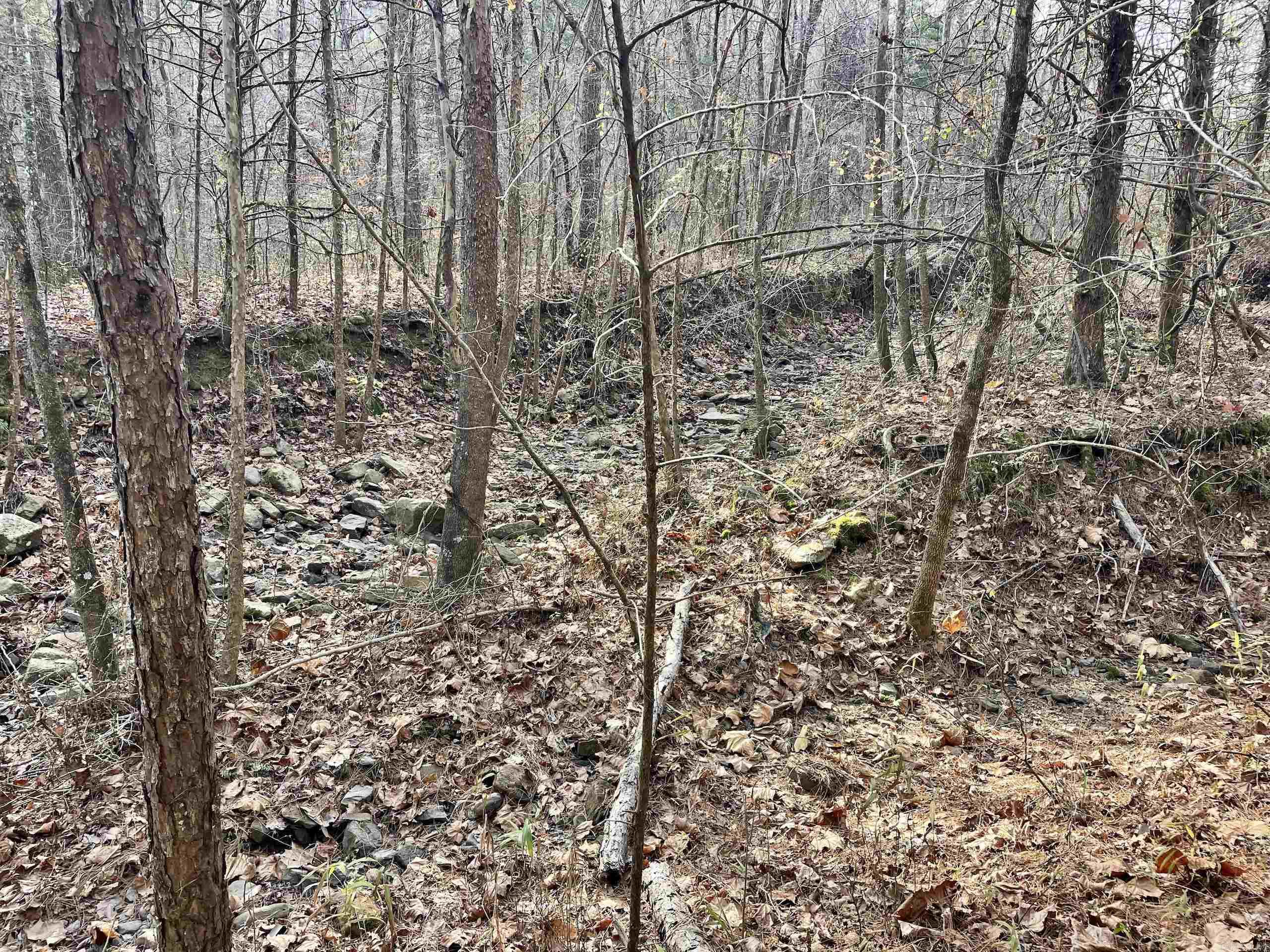 Not in Subdivision - Land