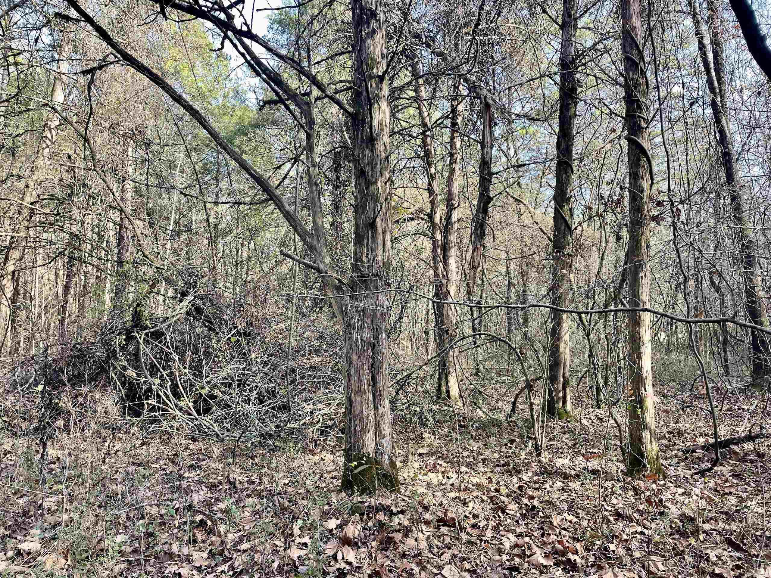 Not in Subdivision - Land