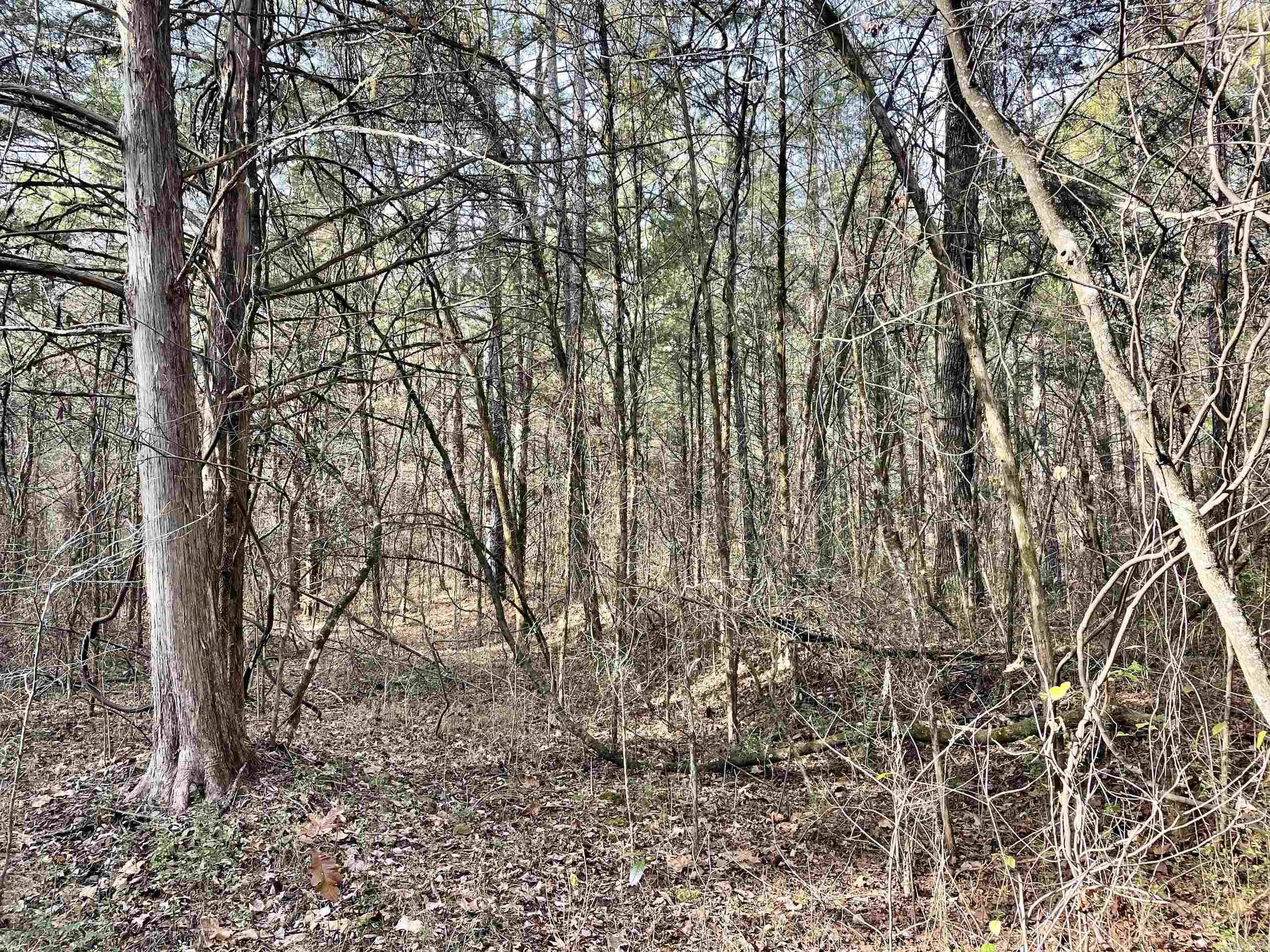 Not in Subdivision - Land