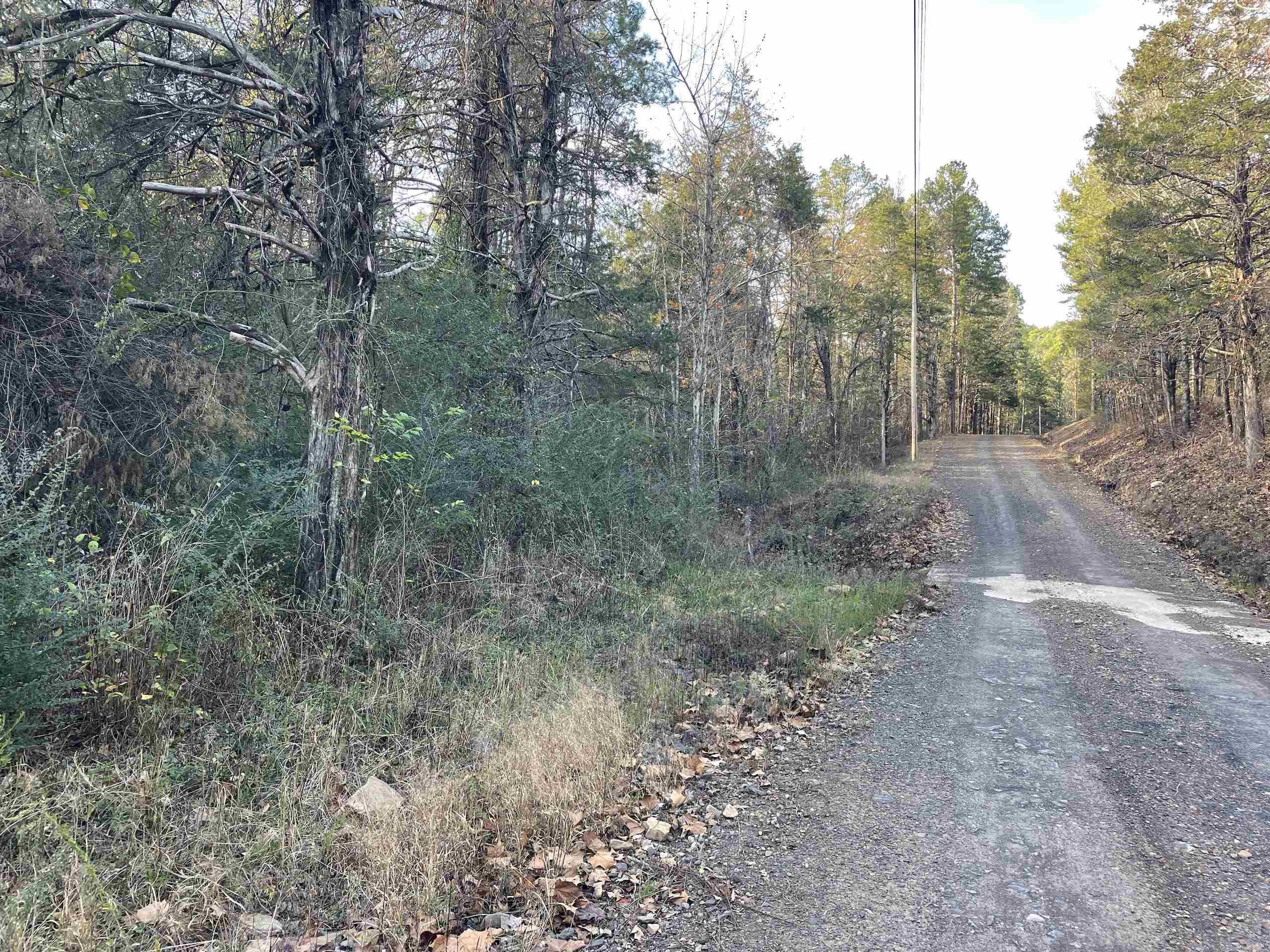 Nestled just off a State Highway, this undeveloped property offers county road frontage with utilities available along the road, making it a prime location for your dream home or getaway. Located minutes from Greers Ferry Lake—renowned for its water recreation and fishing—Fairfield Bay with its golf courses and ATV adventure trails, and the Little Red River featuring world-class trout fishing, this property provides endless opportunities for outdoor exploration. A charming seasonal creek flows through mature timber, enhancing its natural beauty and potential for recreation. Nearby, shop for fresh, homegrown produce from a local farm. Minerals will convey with the sale, and additional property is available in the vicinity, offering even more possibilities for expansion or development. Whether you’re seeking a peaceful retreat or an adventure base camp, this property is ready to fulfill your vision.