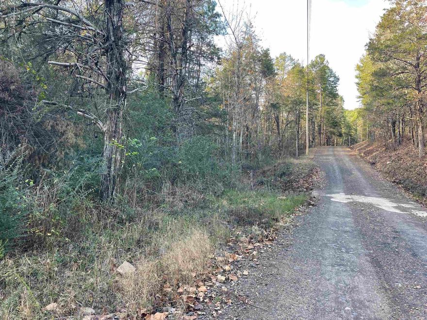 Nestled just off a State Highway, this undeveloped property offers county road frontage with utilities available along the road, making it a prime location for your dream home or getaway. Located minutes from Greers Ferry Lake—renowned for its water recreation and fishing—Fairfield Bay with its golf courses and ATV adventure trails, and the Little Red River featuring world-class trout fishing, this property provides endless opportunities for outdoor exploration.  A charming seasonal creek flows through mature timber, enhancing its natural beauty and potential for recreation. Nearby, shop for fresh, homegrown produce from a local farm. Minerals will convey with the sale, and additional property is available in the vicinity, offering even more possibilities for expansion or development.   Whether you’re seeking a peaceful retreat or an adventure base camp, this property is ready to fulfill your vision.
