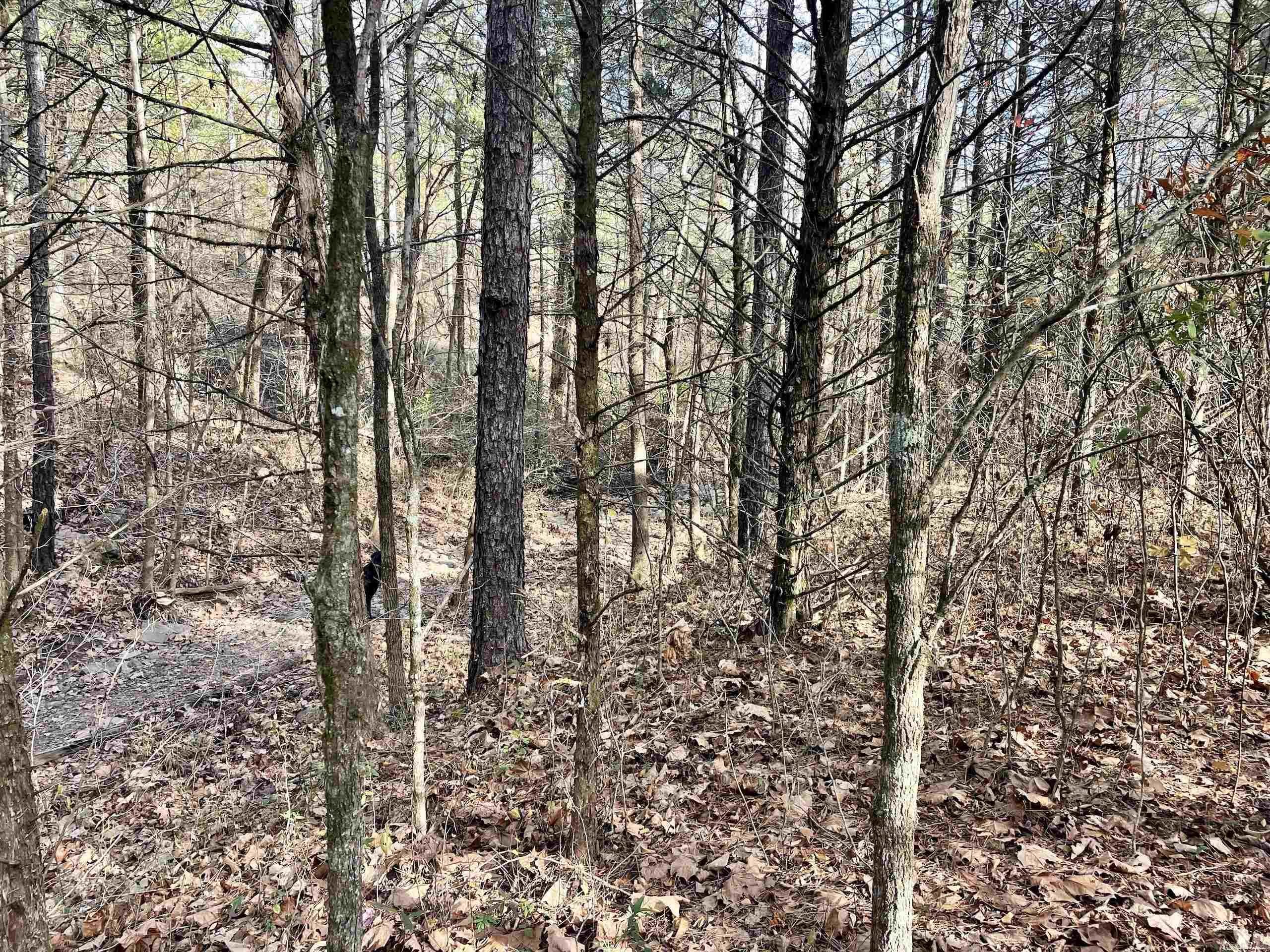 Not in Subdivision - Land