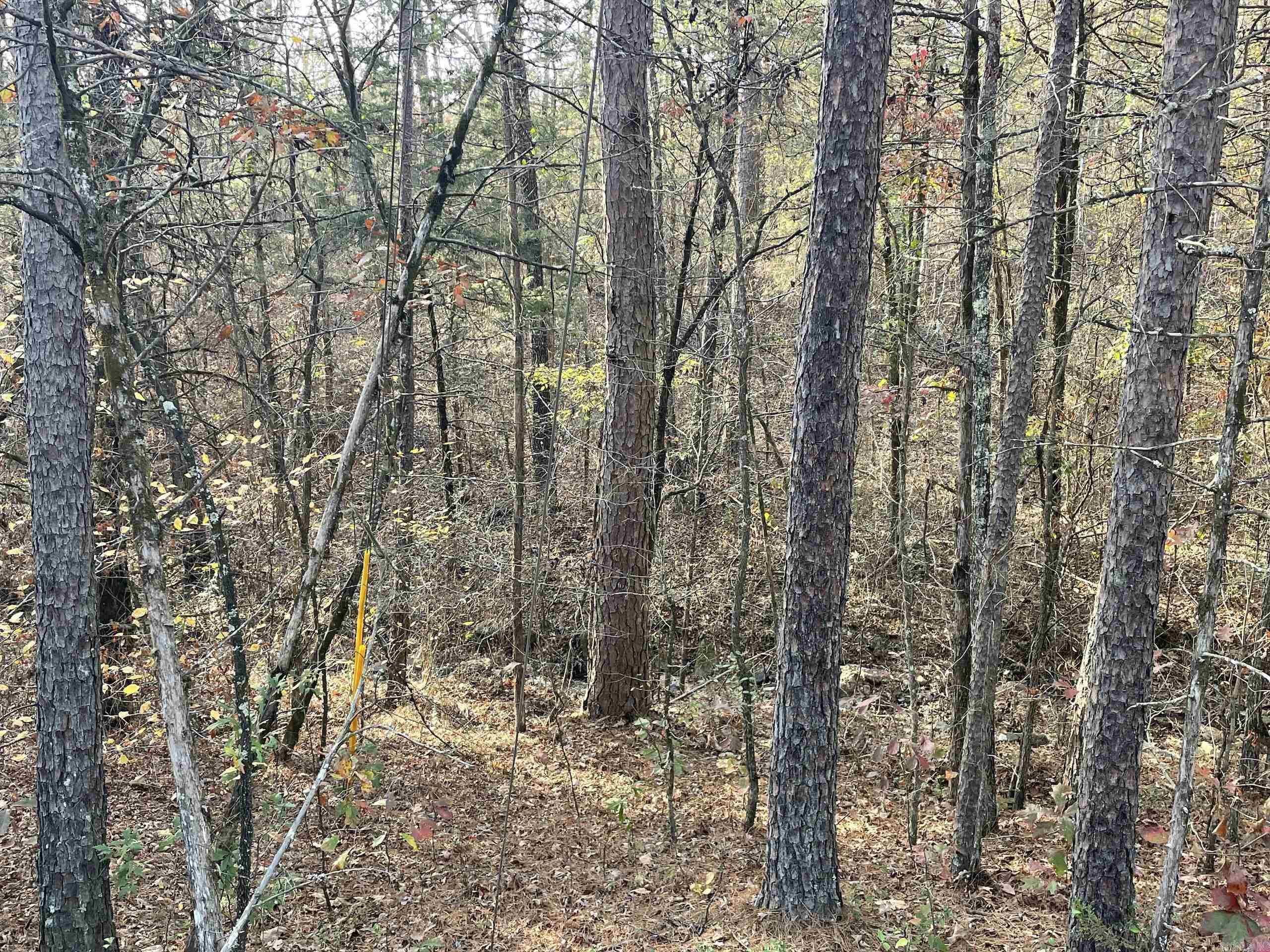 Not in Subdivision - Land