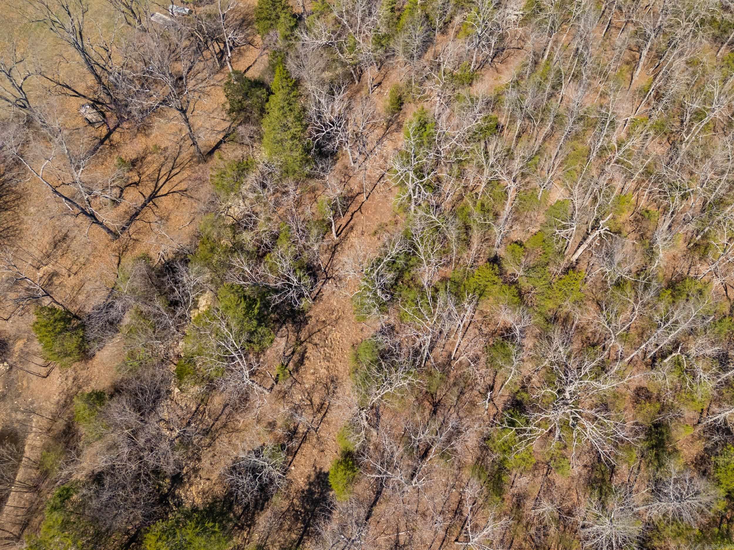 INDEPENDENCE ACRES - Land