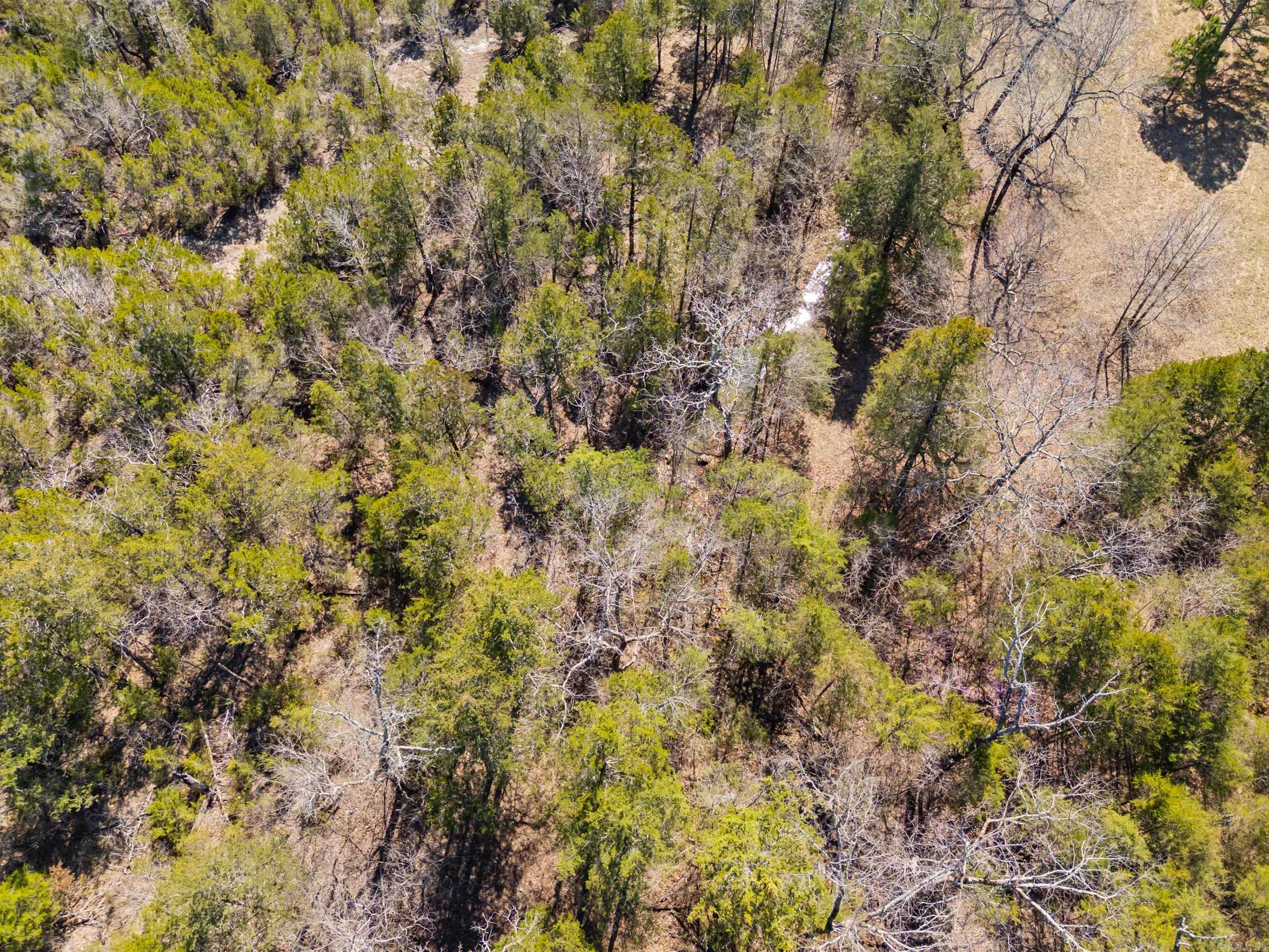 INDEPENDENCE ACRES - Land