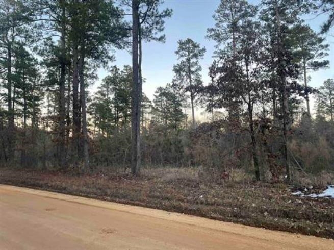 26 acres in the perfect location, halfway between Sheridan & White Hall approx. 10 minutes in either direction. This is a great property with several new constructions in the area. It is the perfect place to build your dream home & have your own little piece of privacy. All utilities available at the road.