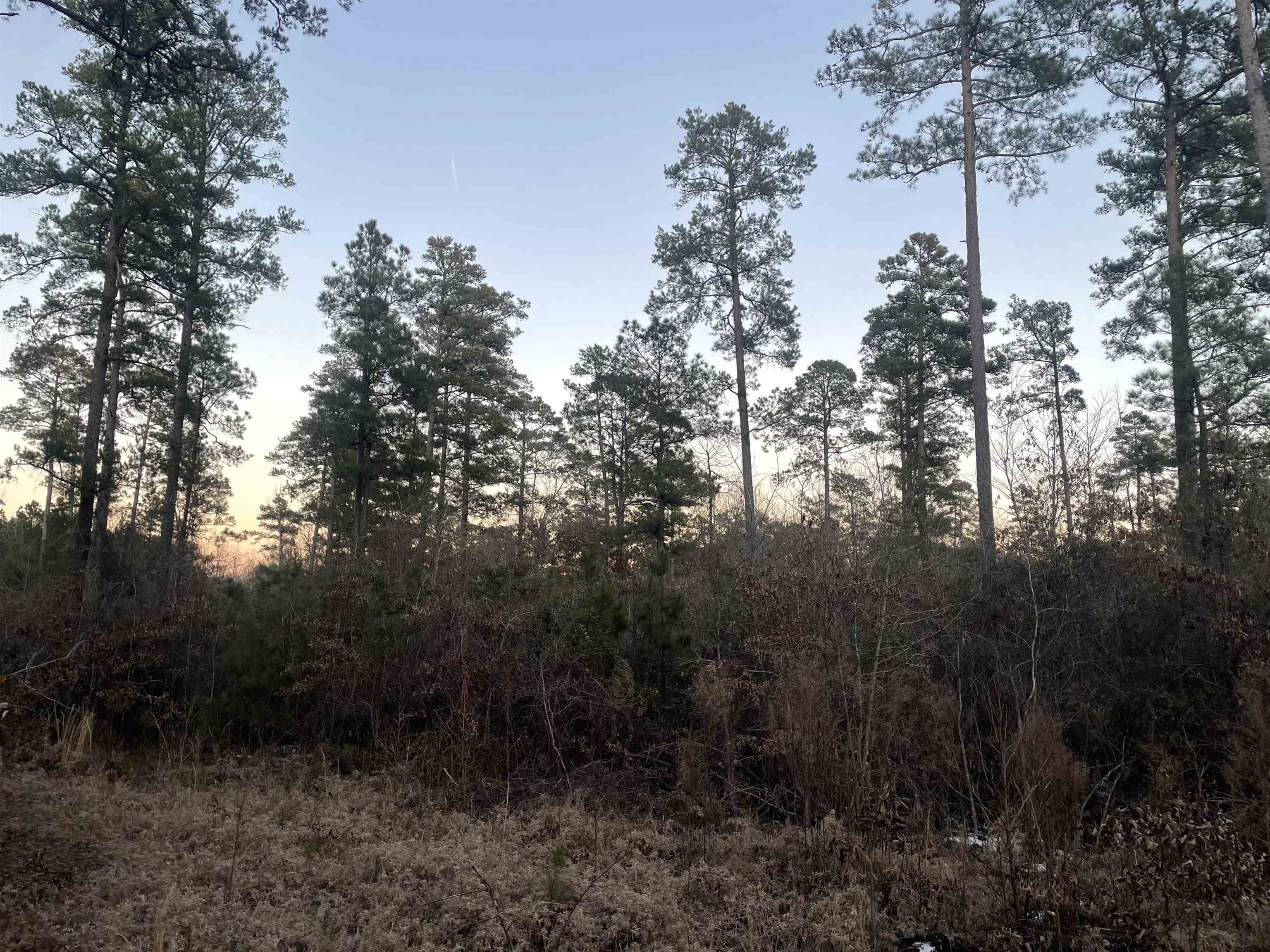 Not in Subdivision - Land