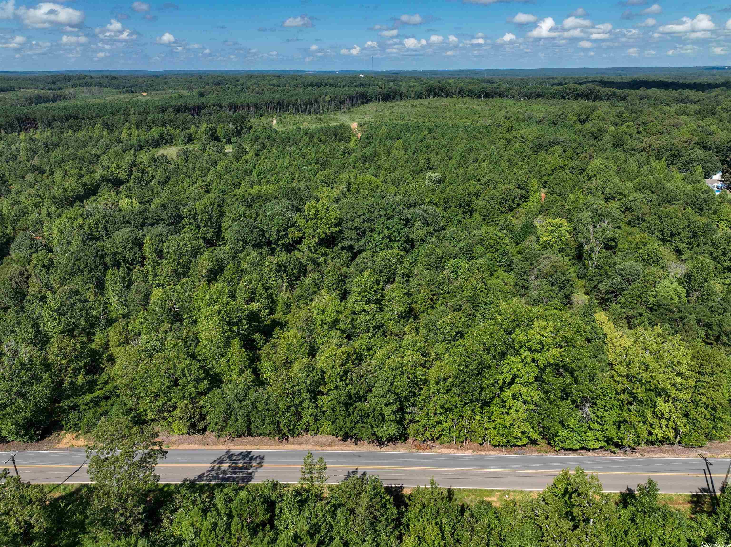 Mountain Pine - Land